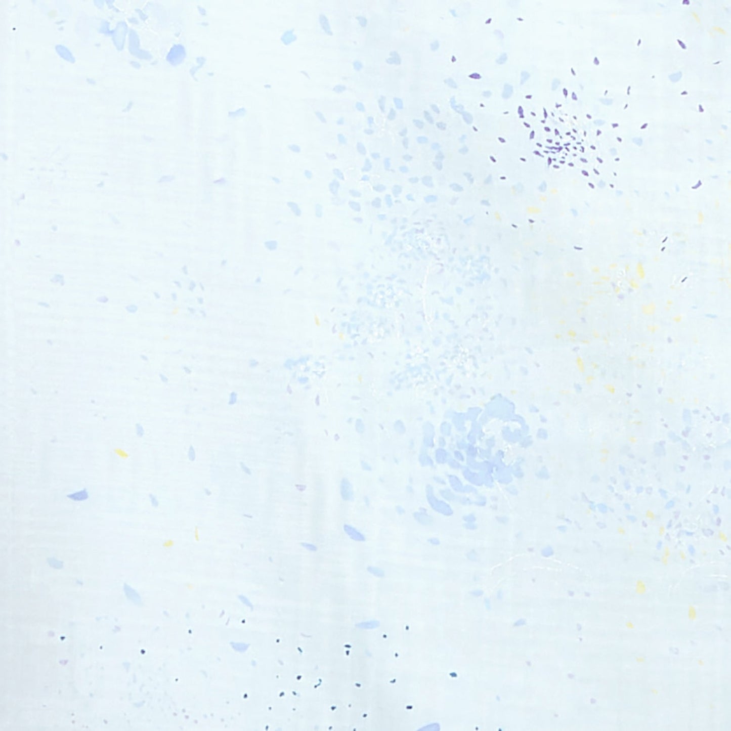 nani IRO “Gift EDouble Gauze