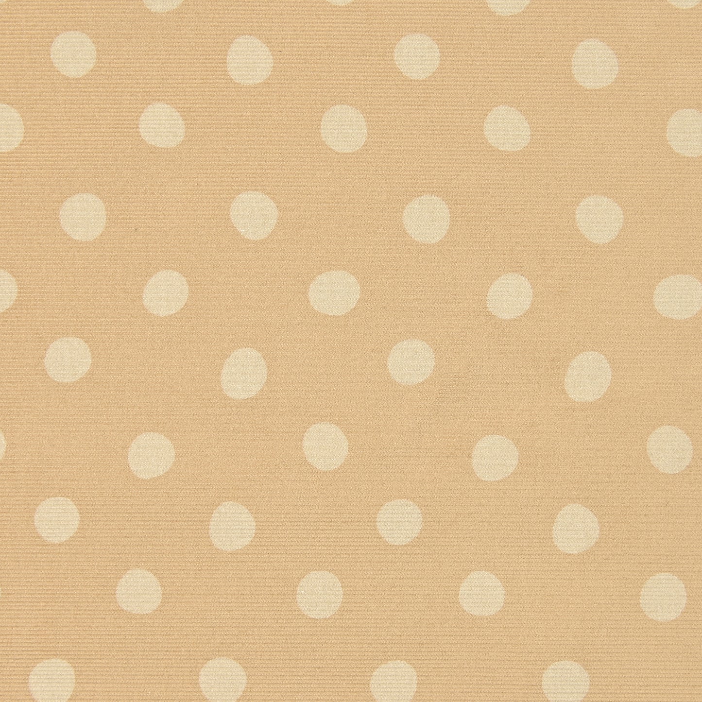 Dot Corduroy NFA-67650-651
