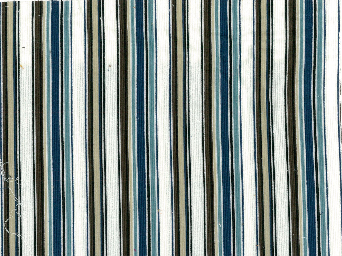 Stripe Corduroy NFA-67800-801