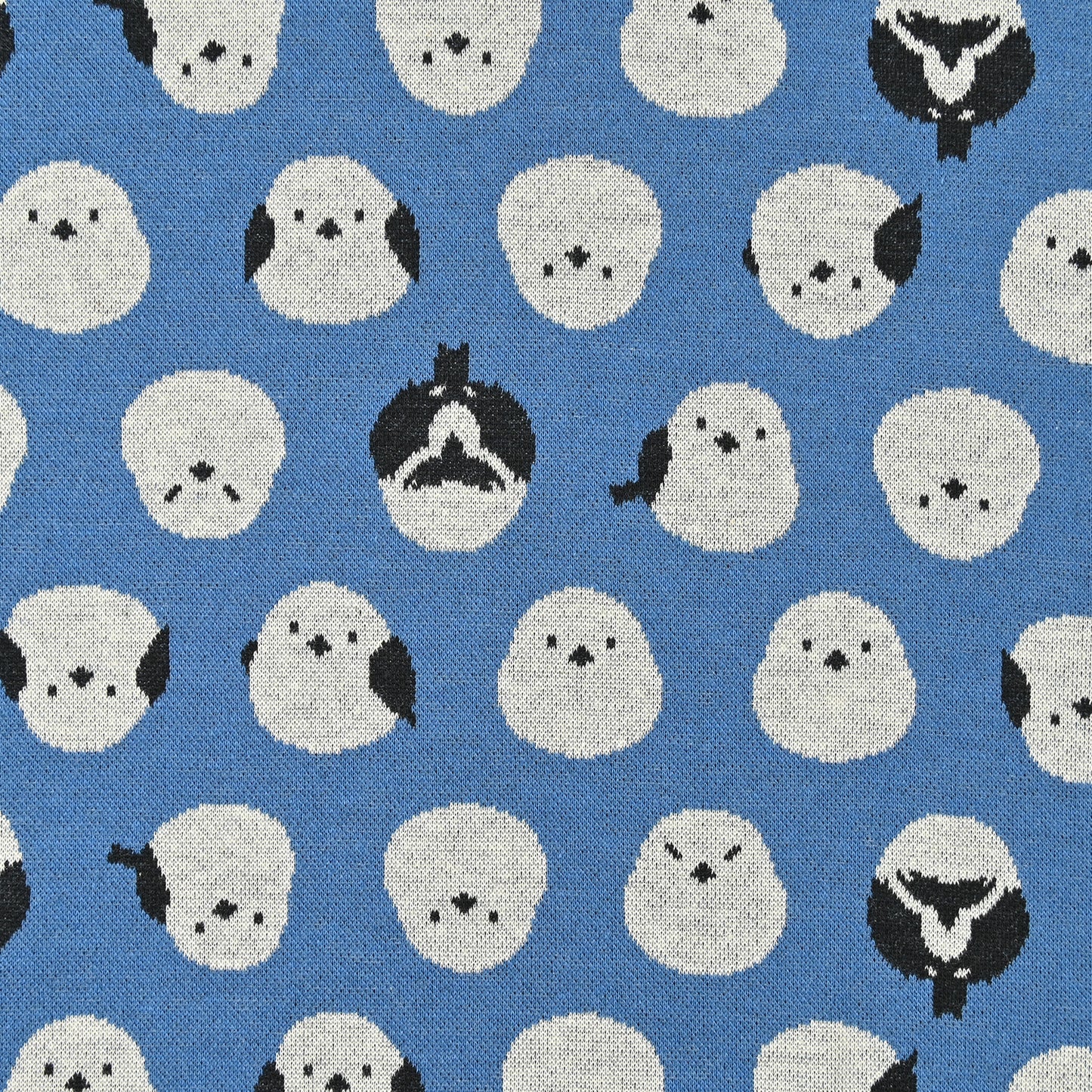 Knit Jacquard Bird YGA-56030-1
