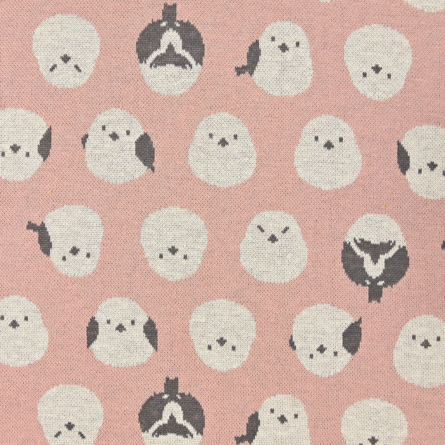 Knit Jacquard Bird YGA-56030-1