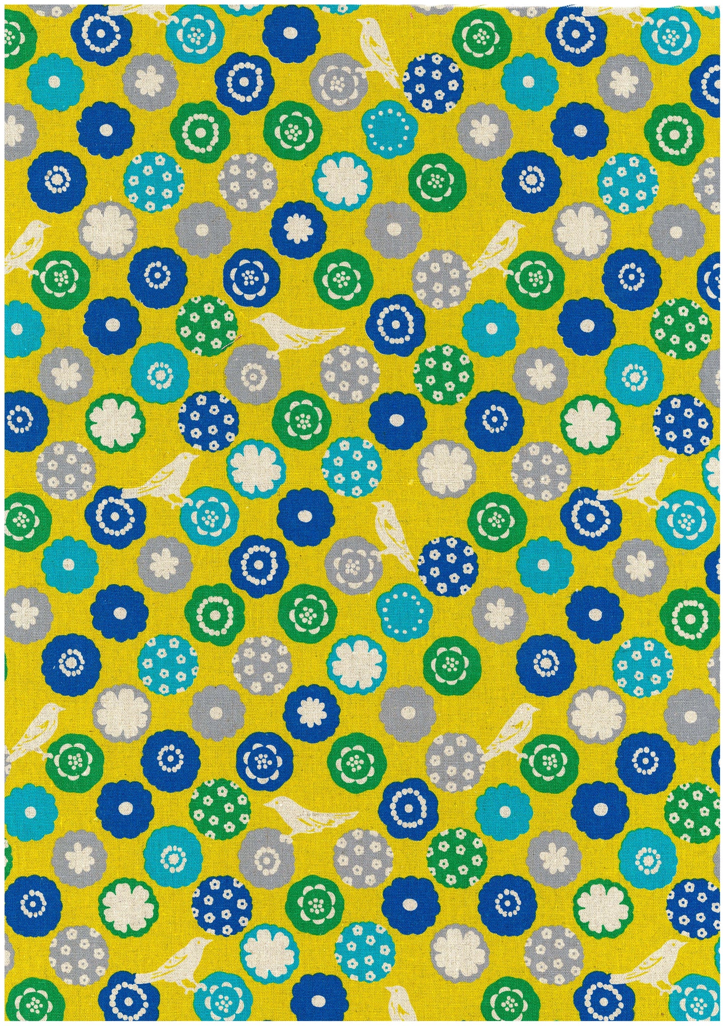 echino Bonbon Canvas EKX-90100-102