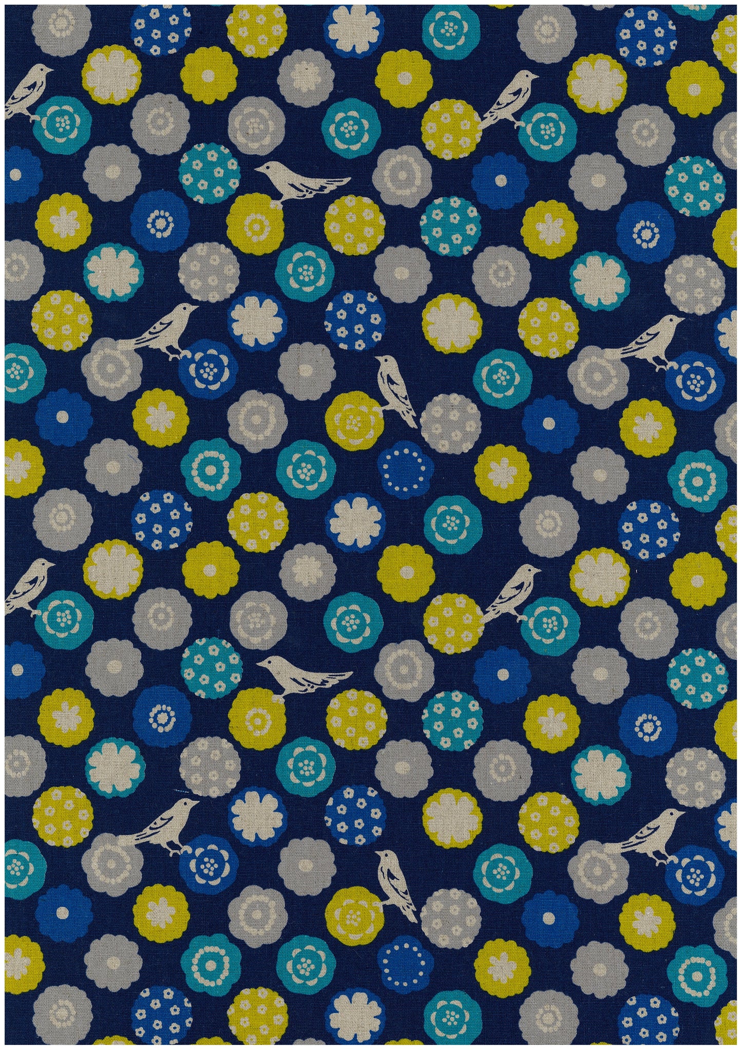 echino Bonbon Canvas EKX-90100-102