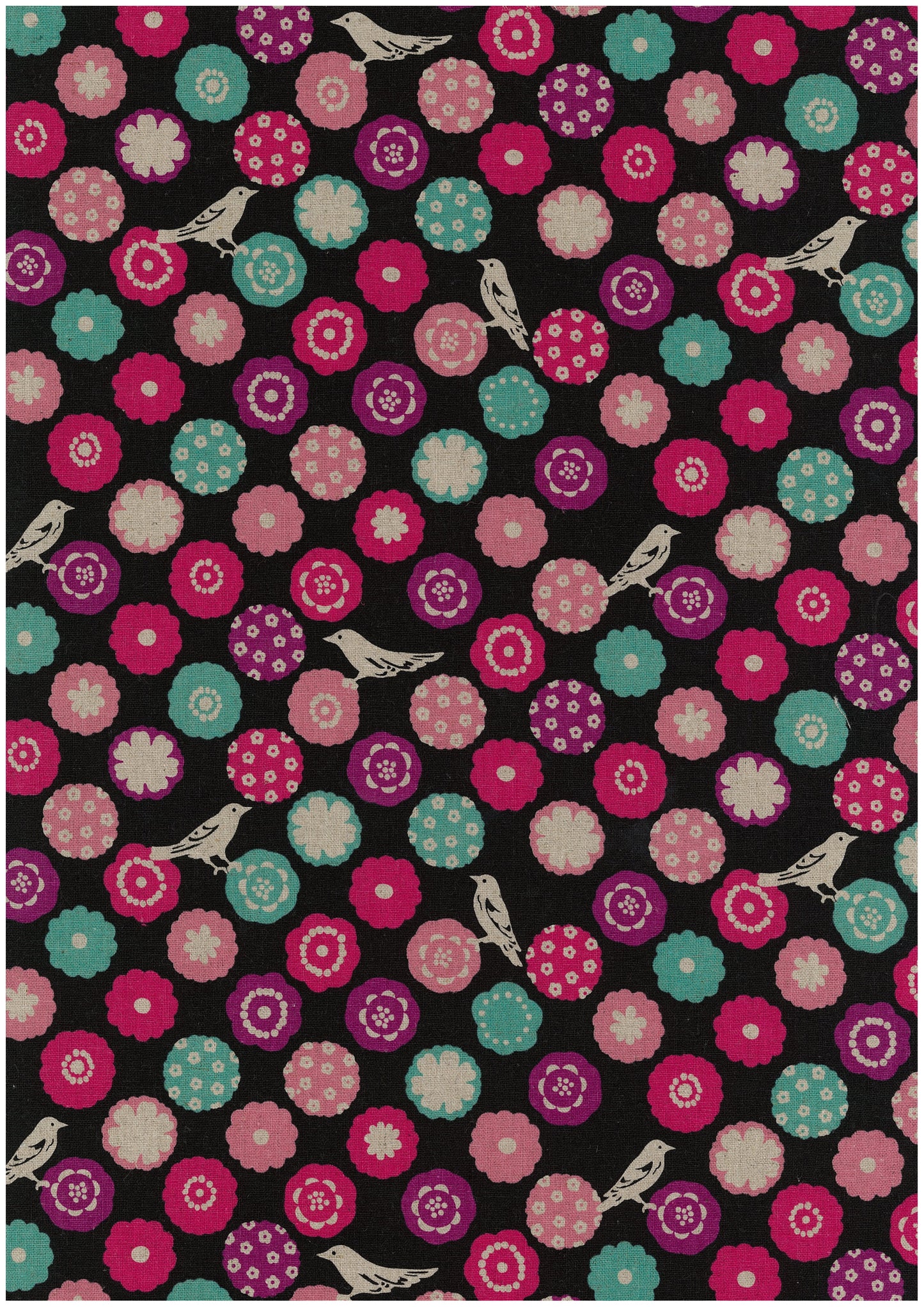 echino Bonbon Canvas EKX-90100-102