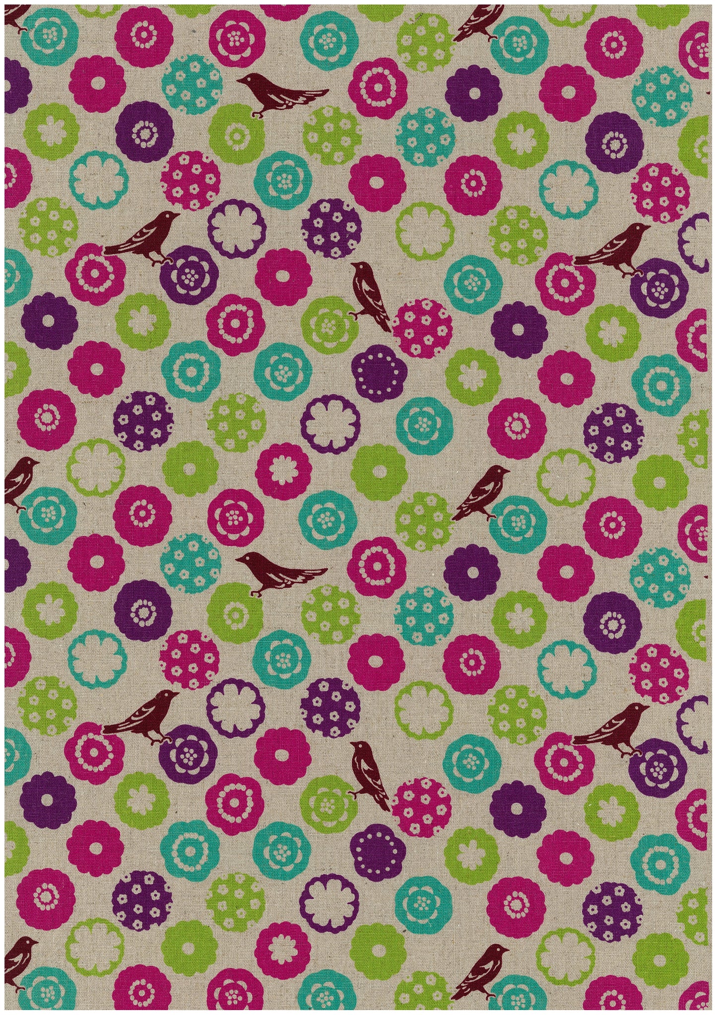 echino Bonbon Canvas EKX-90100-102