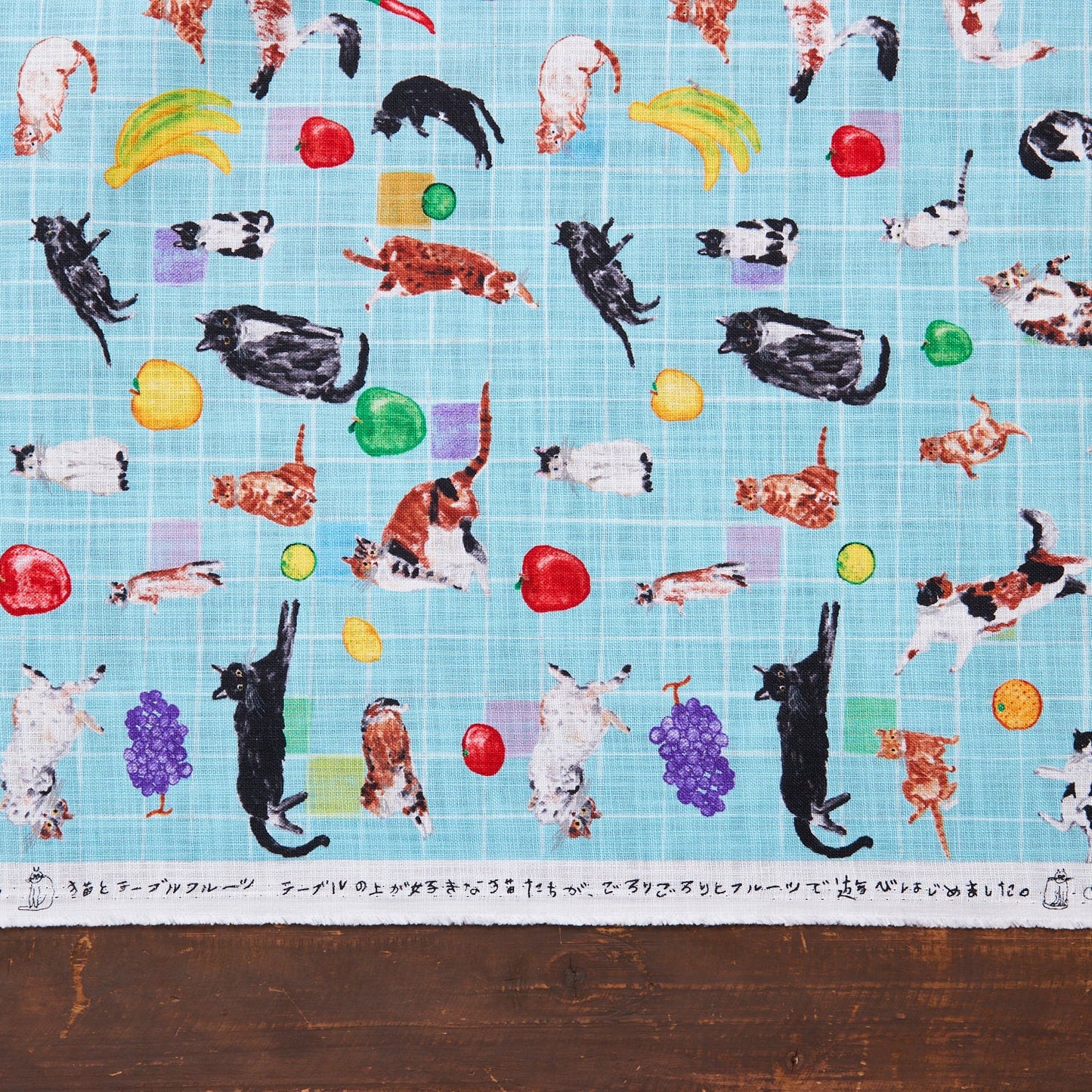 Paper message Cat & Table Fruit Lightweight Canvas