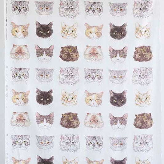 365 Cat. Art Cat Faces Sheeting EKX-1700-2