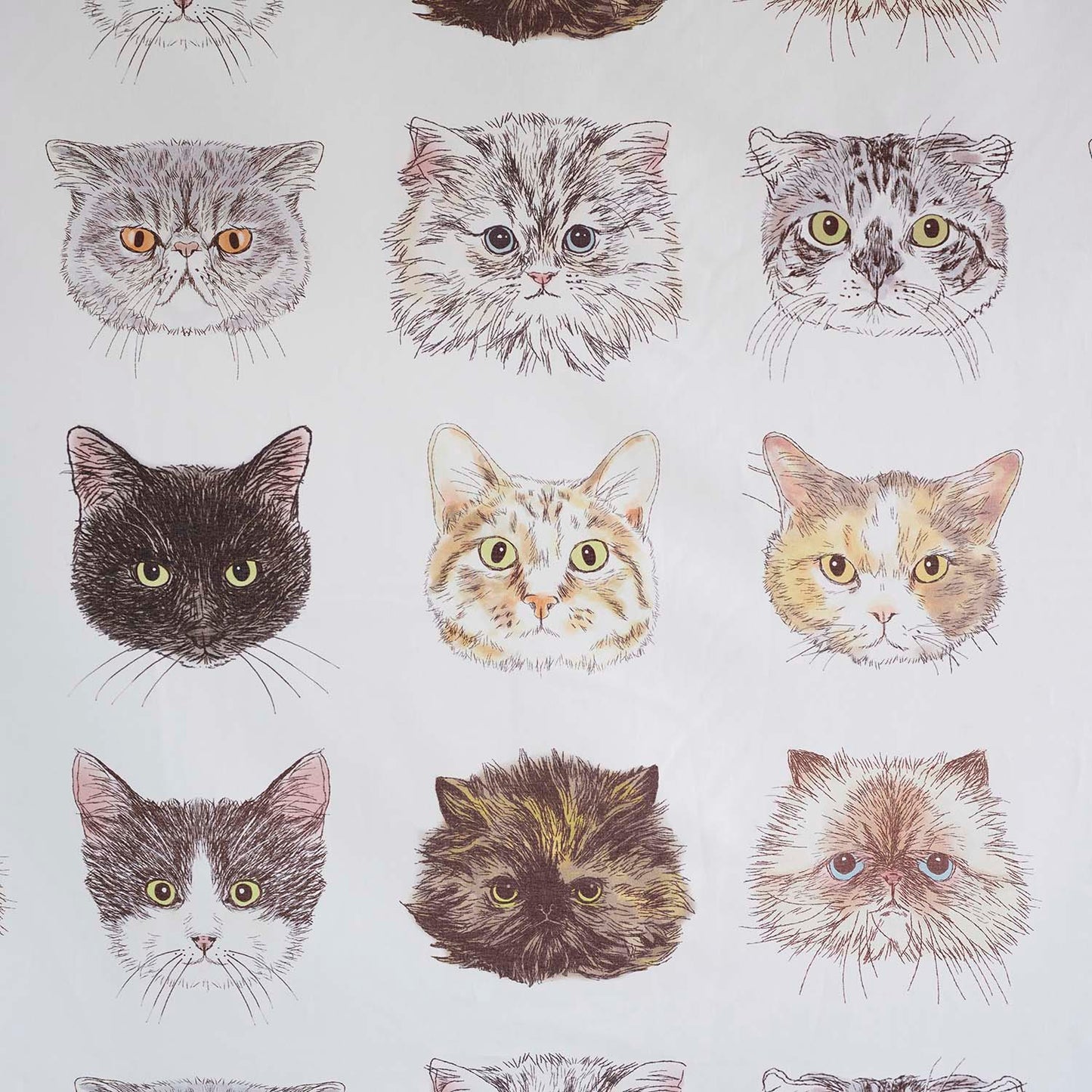 365 Cat. Art Cat Faces Sheeting EKX-1700-2