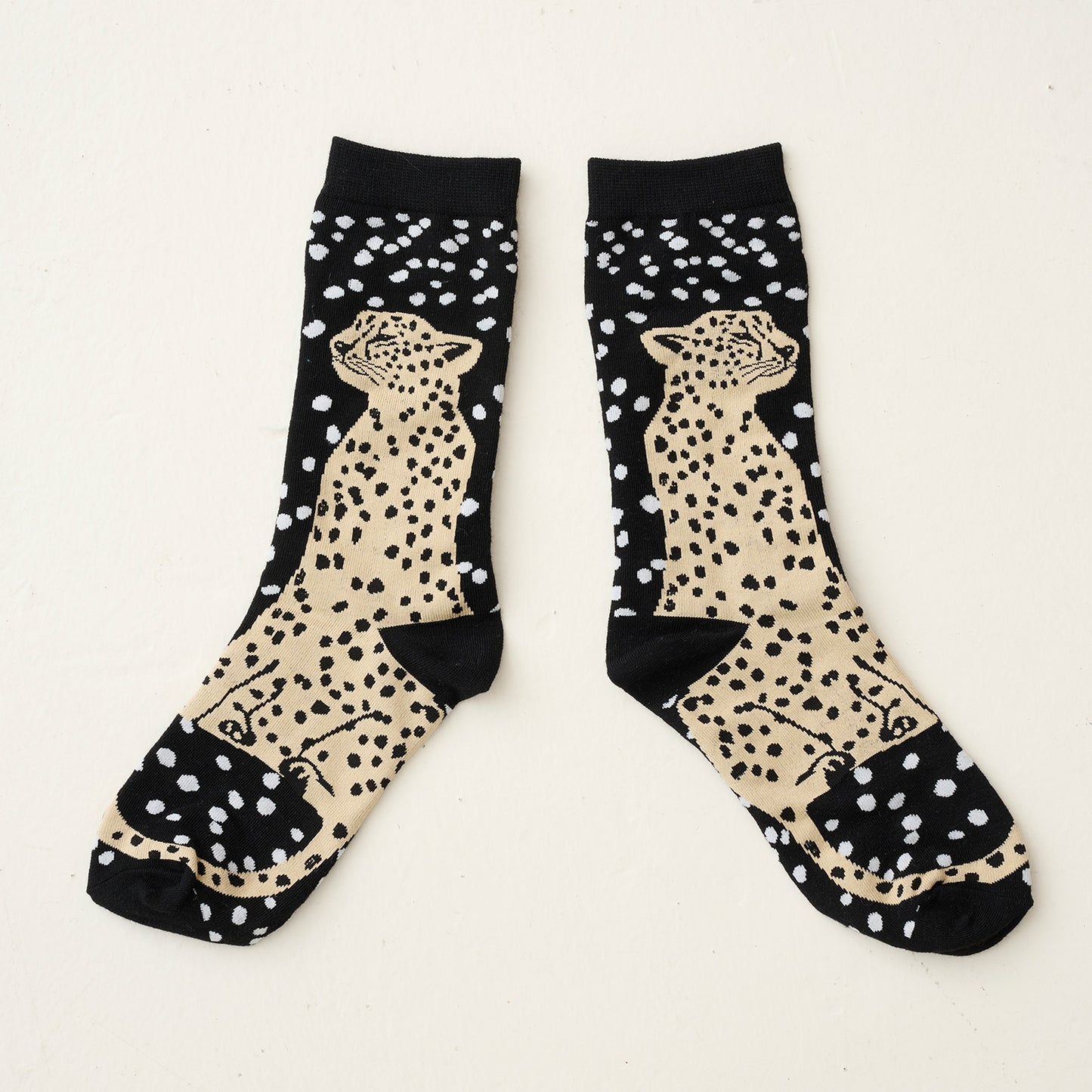 [Product] echino Socks