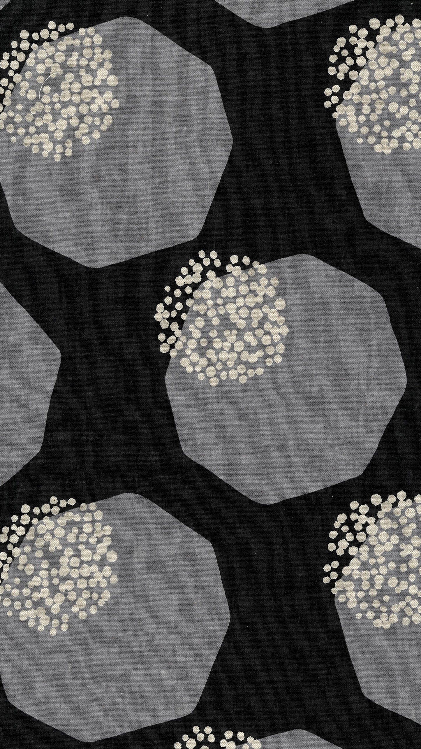 [Preorder Period: 23th June 2026] Echino Framework Cotton Linen Canvas - Kajitsu EKX-98180-82