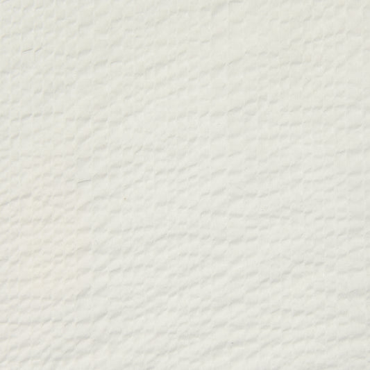 Ripple Cotton 80 Lawn BCA-5000-1