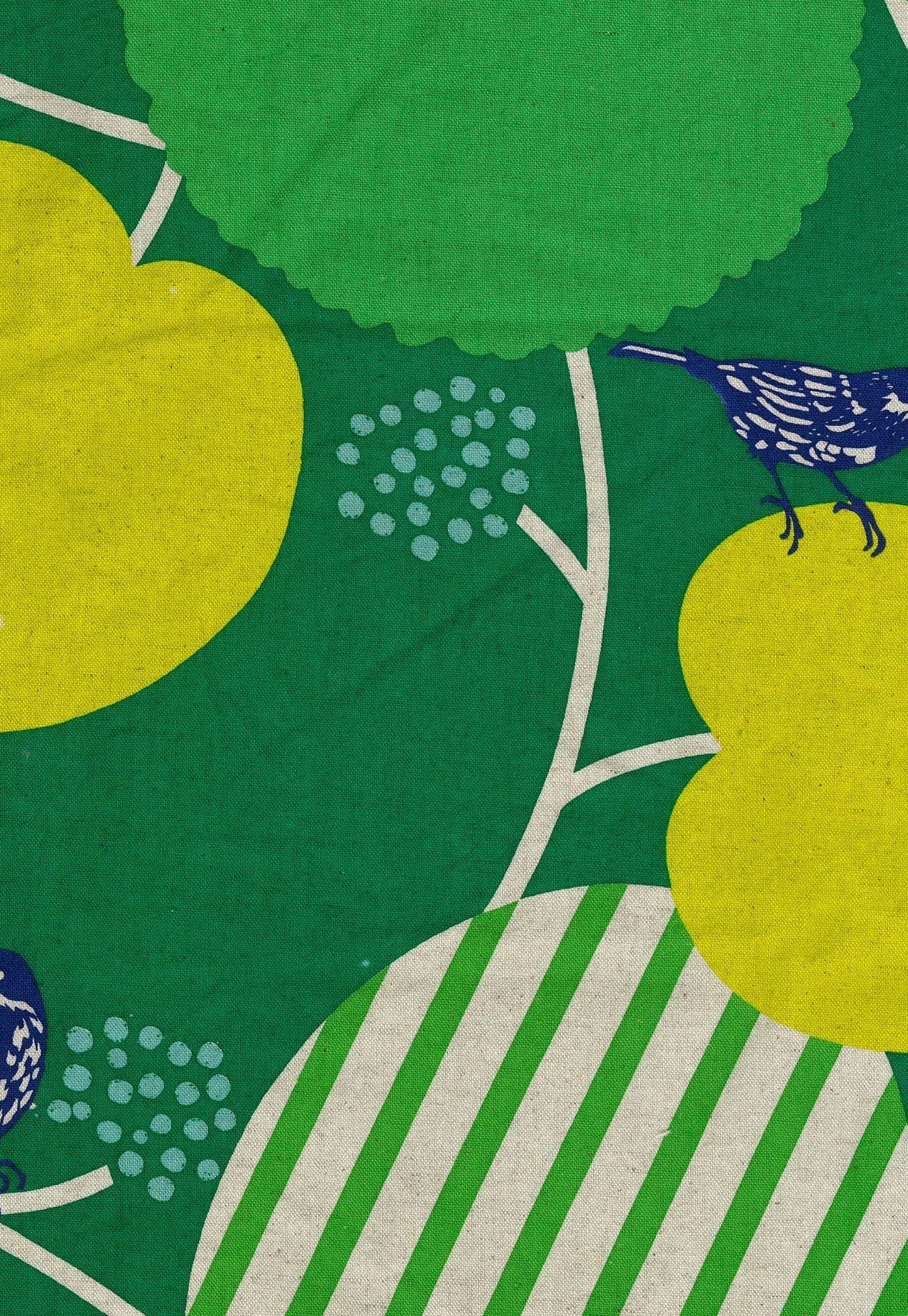 [Preorder] Echino Pepe Cotton Linen Canvas EKX-98160-61