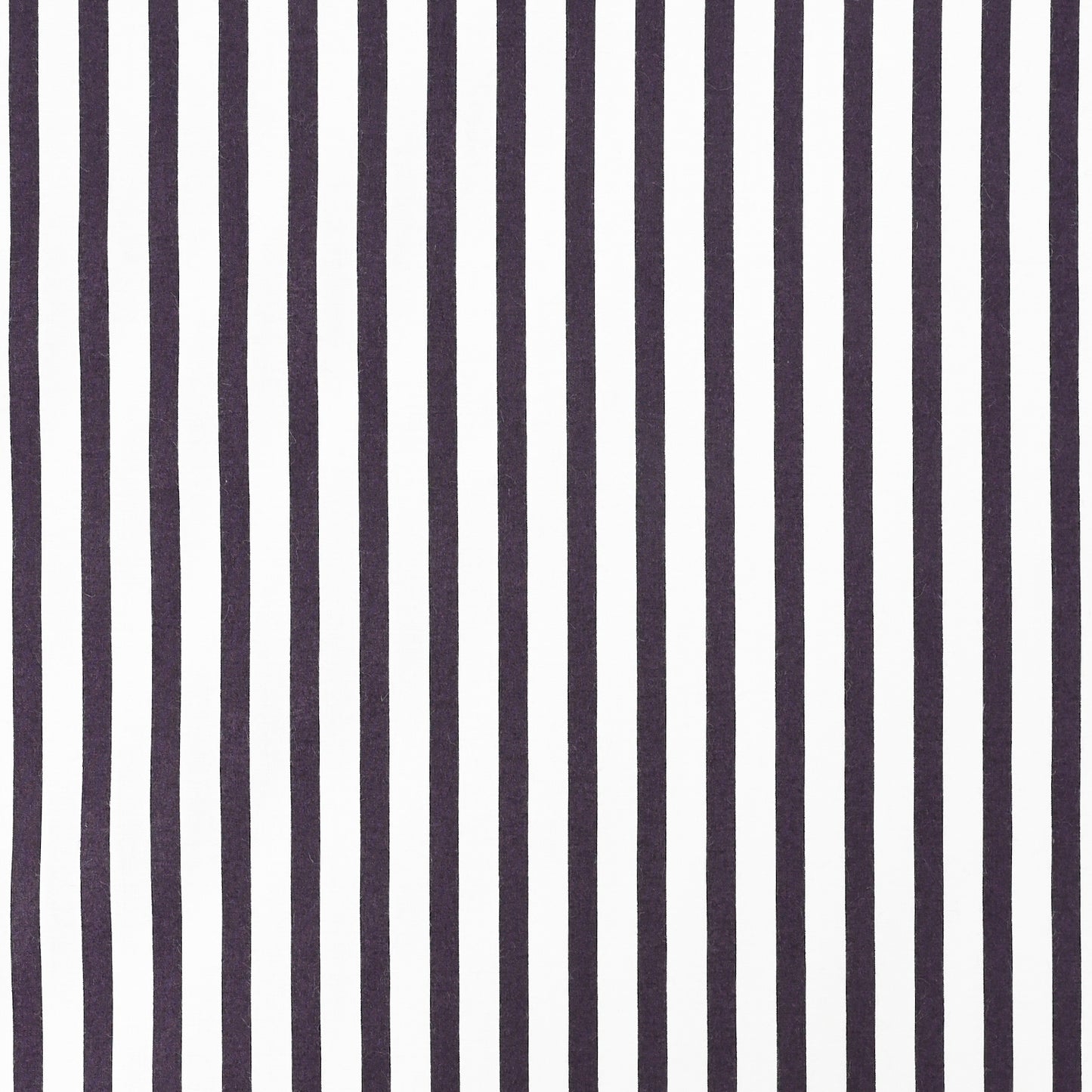 Cotton 80 Lawn NCA-91170-171