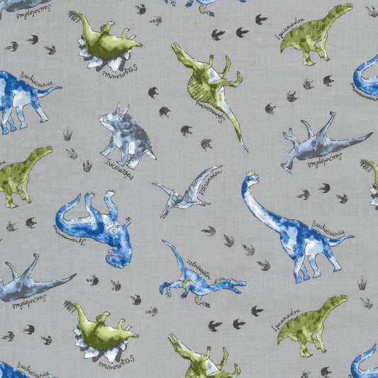 Water Blur Dinosaurs Sheeting YGA-79000-1