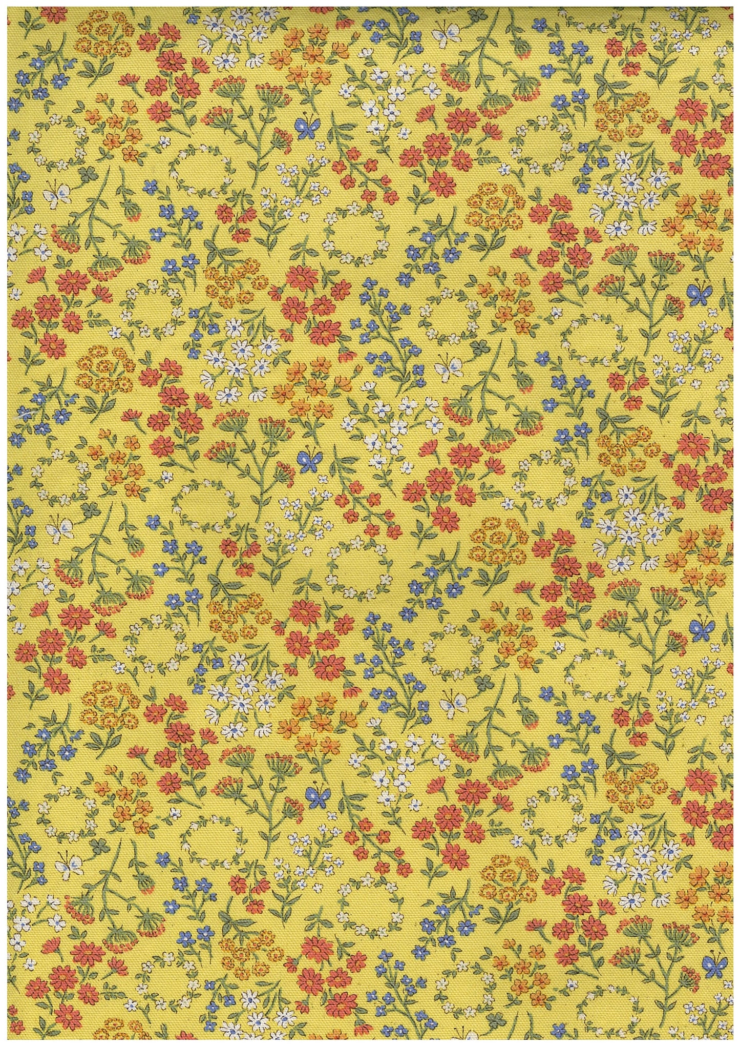 Petit Flower  Oxford YGA-96020-1