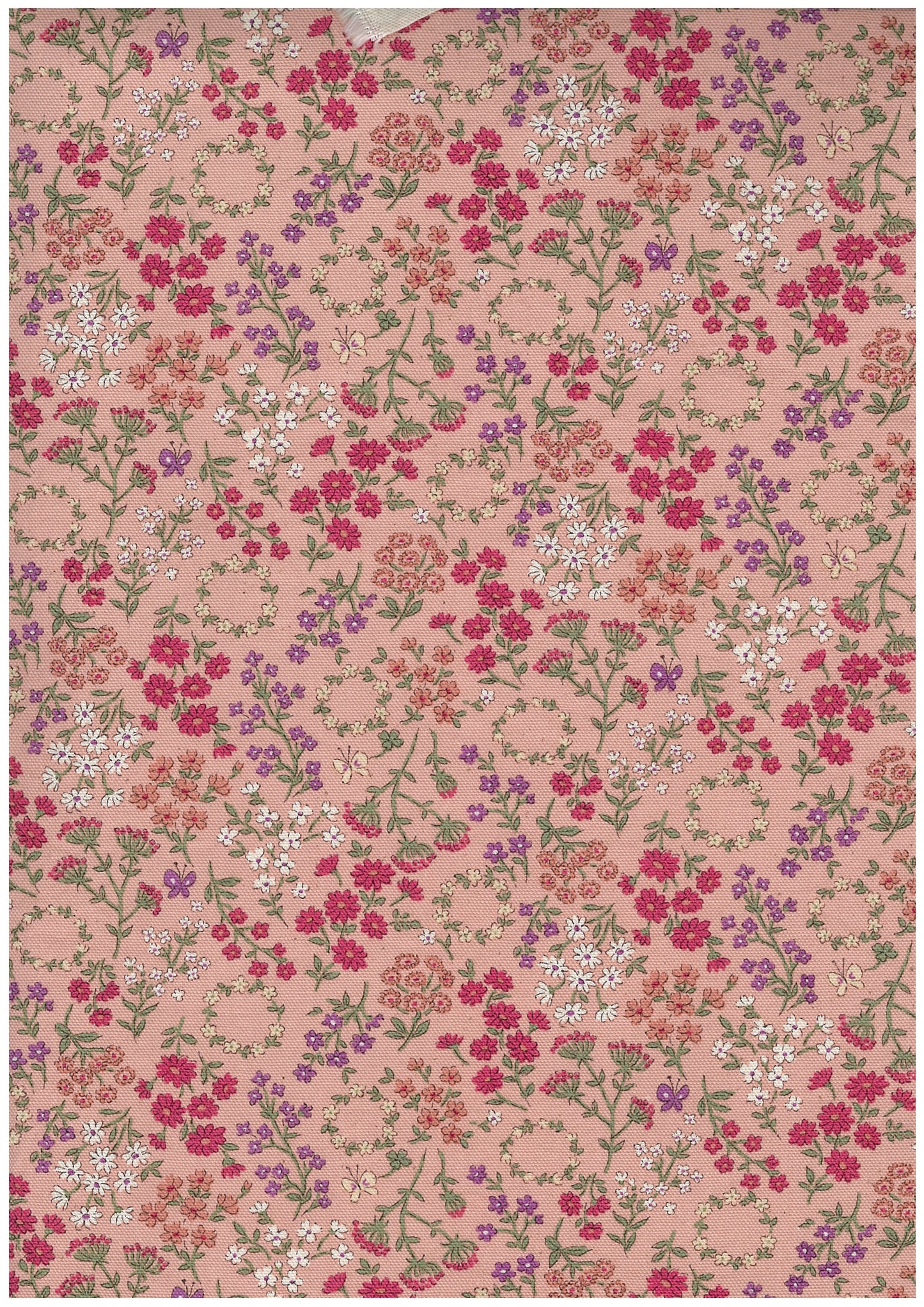 Petit Flower  Oxford YGA-96020-1