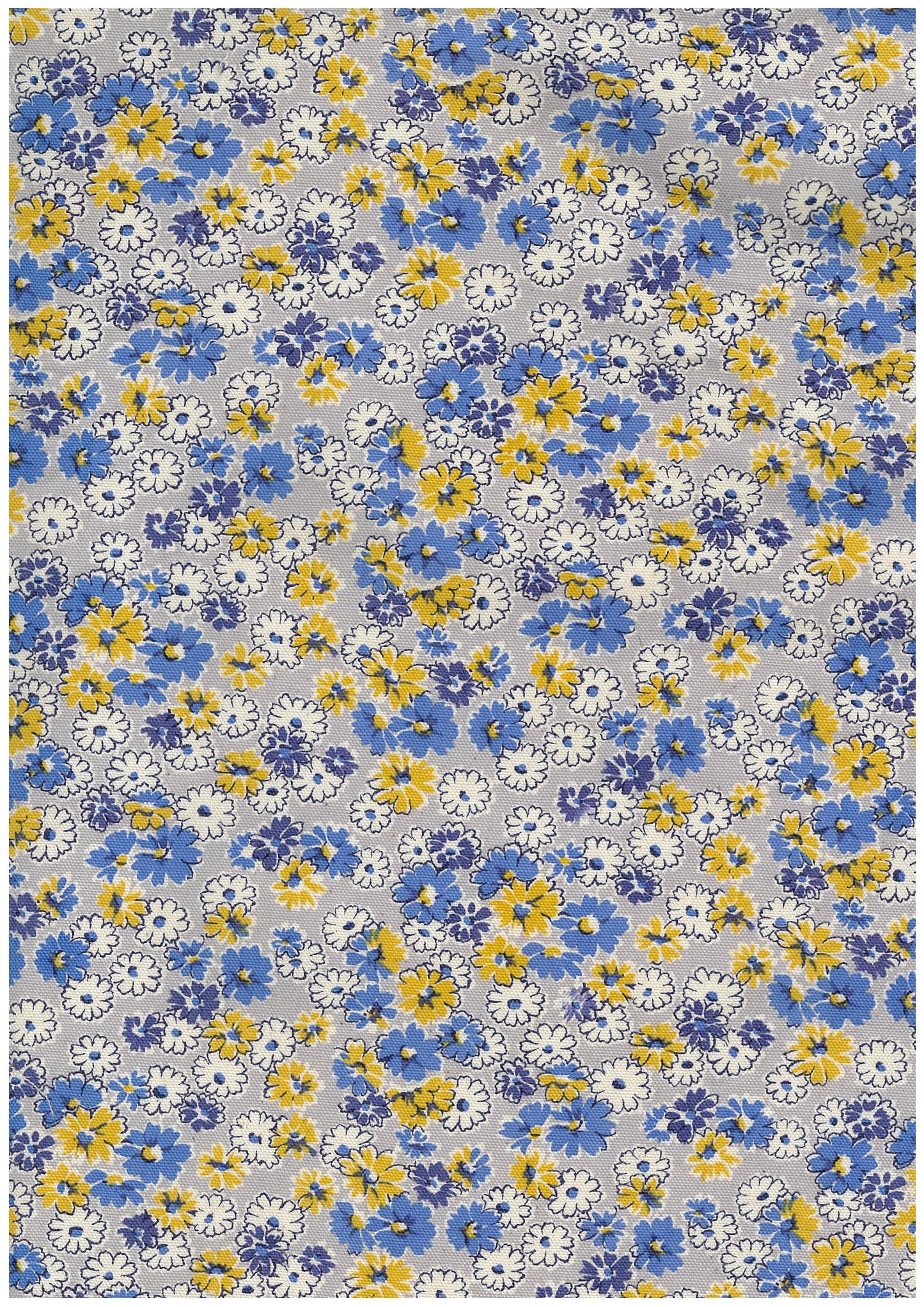 Petit Flower Ditsy Oxford YGA-96020-2