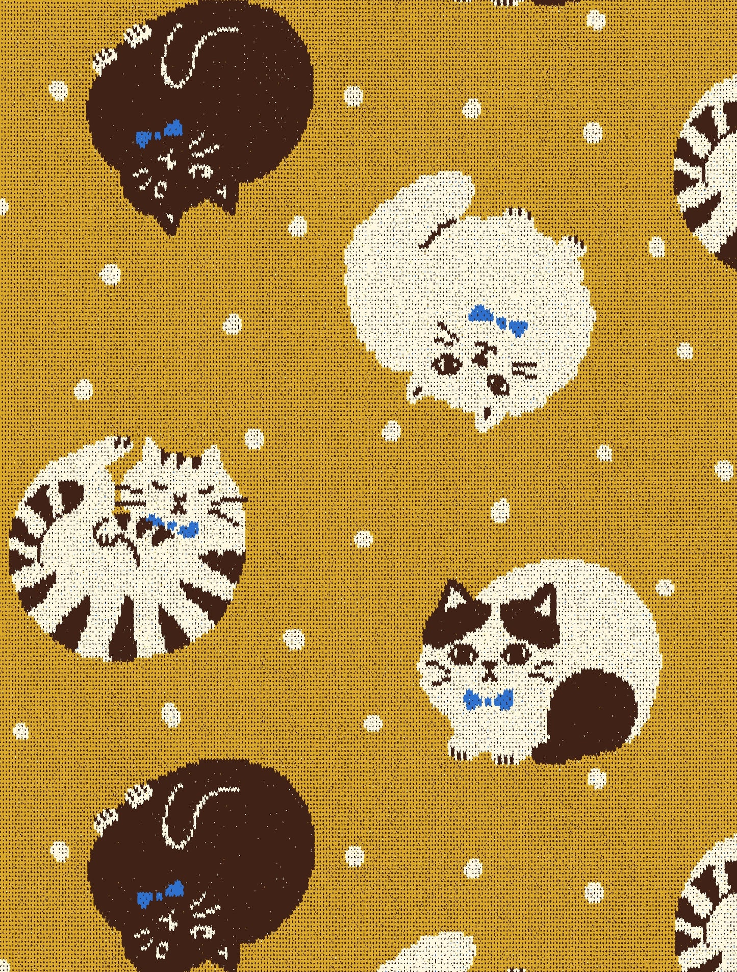 Cat Polka Dot Knit Jacquard YGA-96030-1