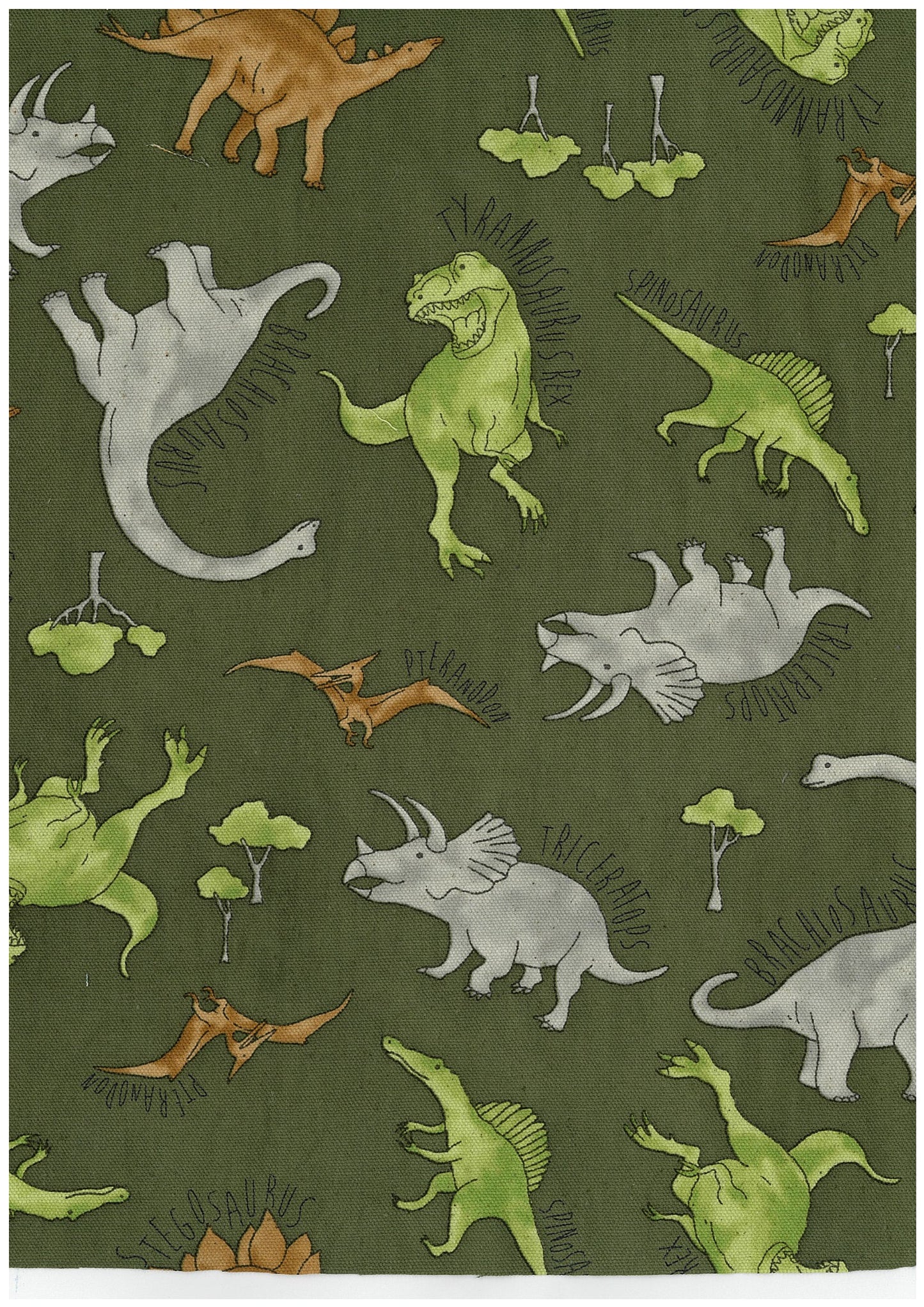 Dinosaur Oxford YK-19010-3