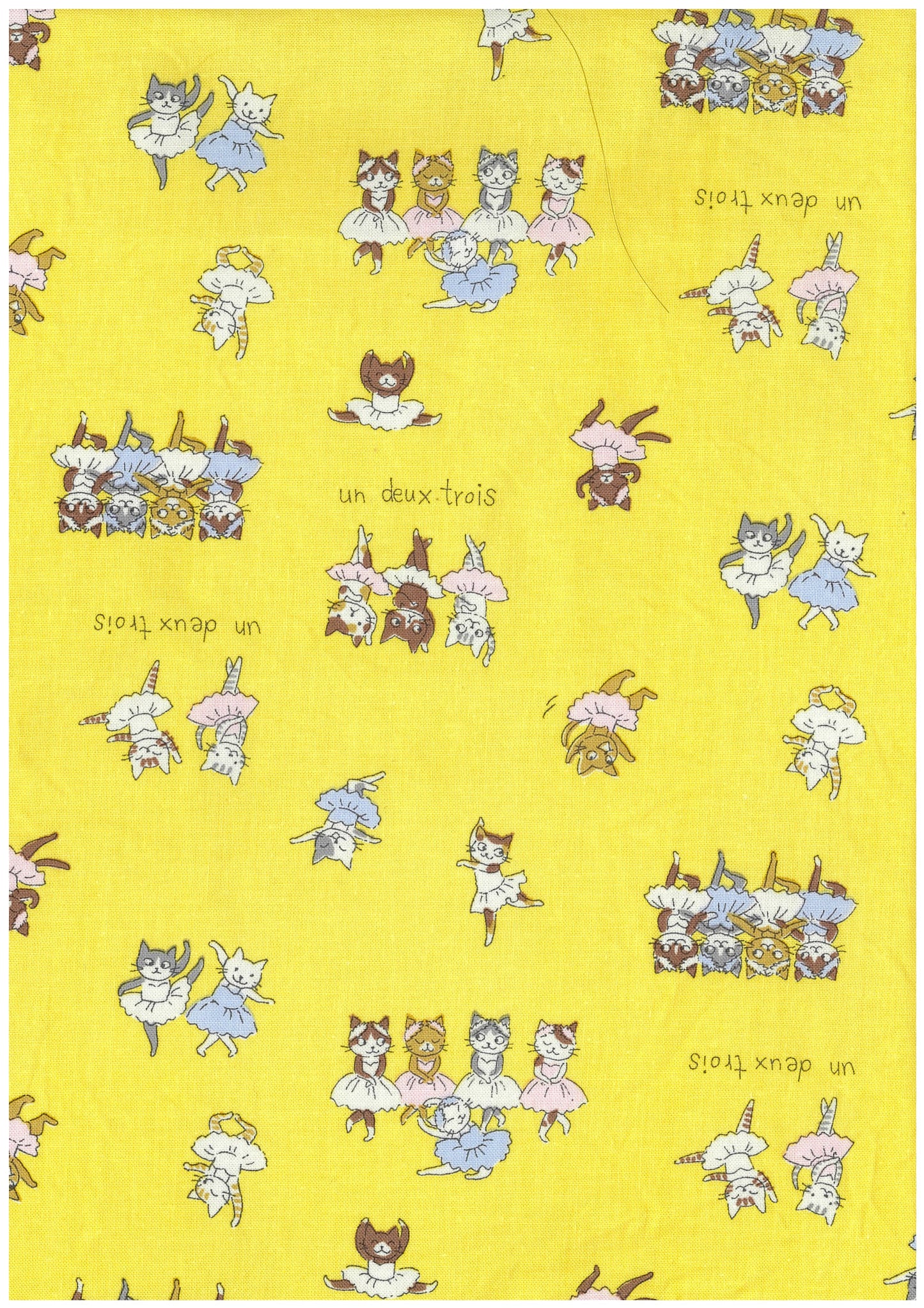 Funny Cats Sheeting Ballet YK-19120-1