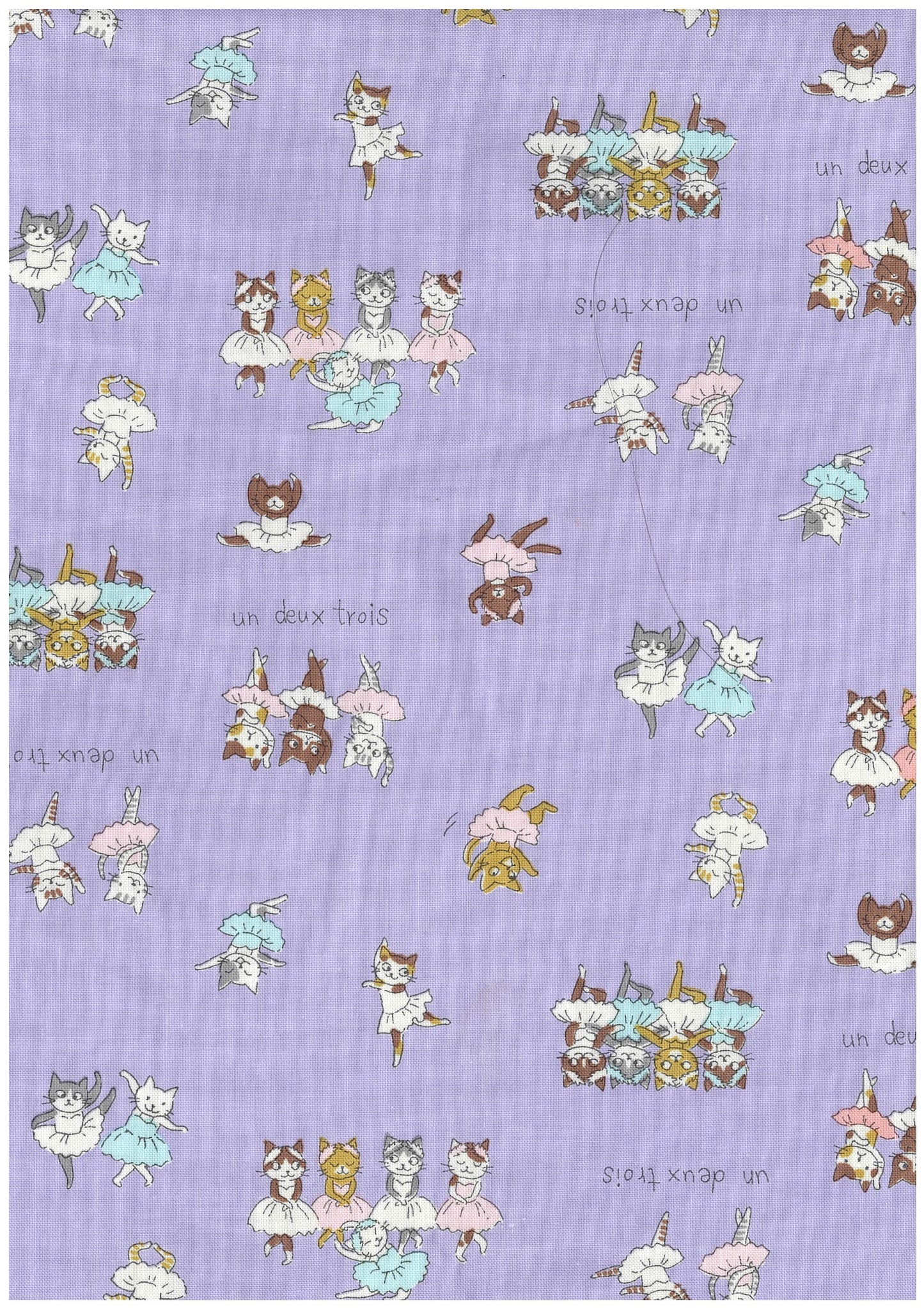 Funny Cats Sheeting Ballet YK-19120-1