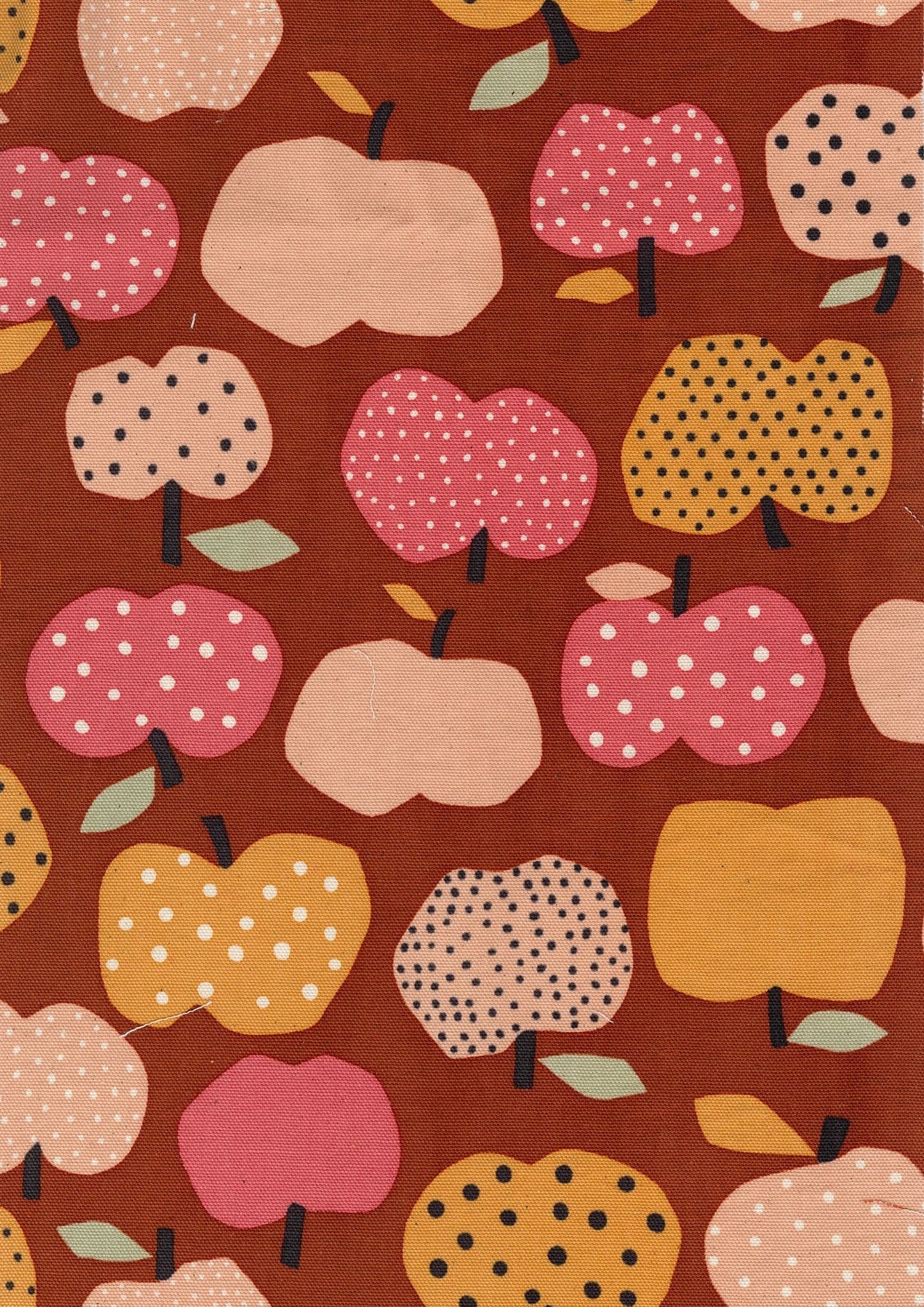 Nordic Girl Apples Cotton Oxford YKA-39010-1