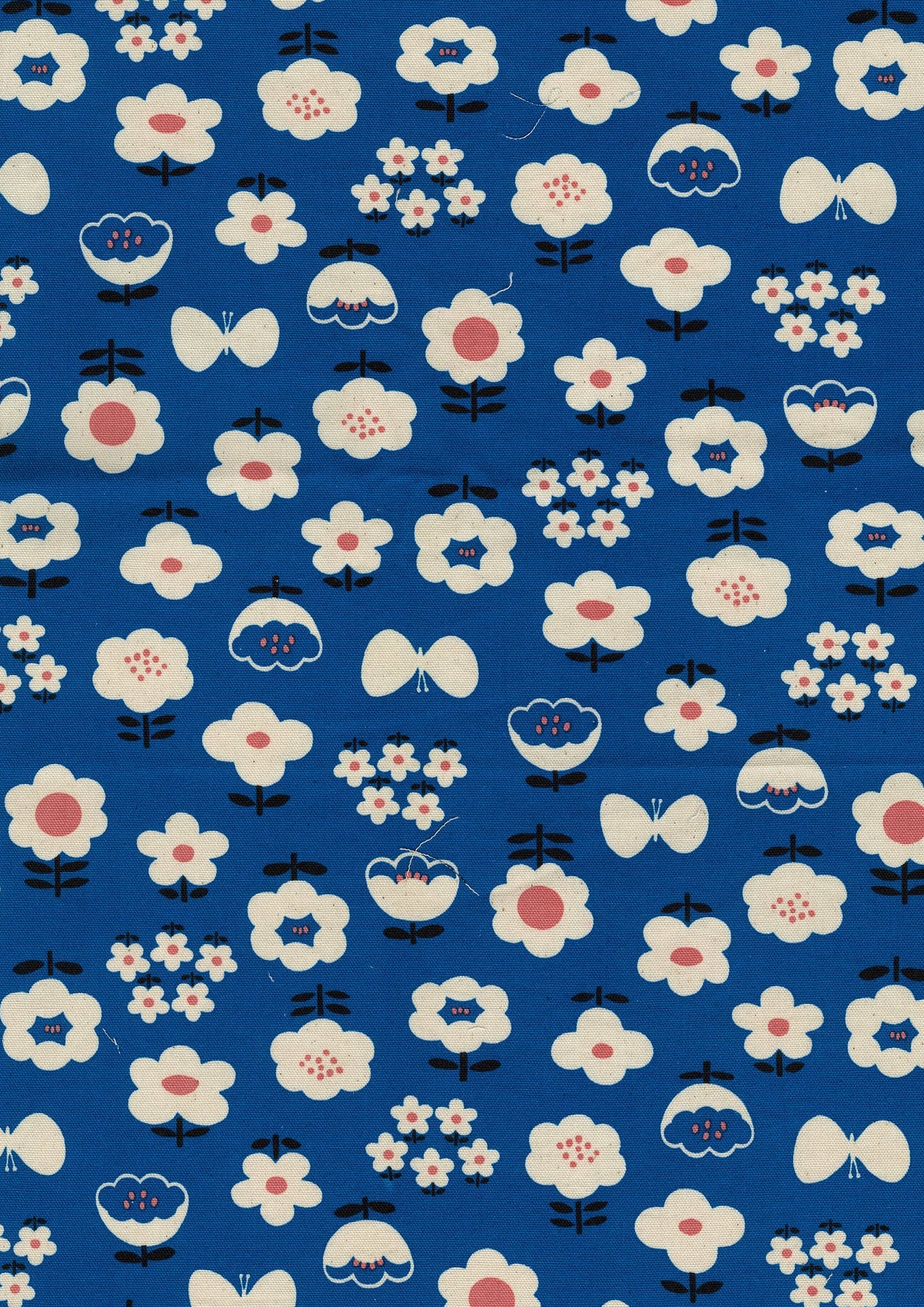 Nordic Girl Floral Cotton Oxford YKA-39010-2