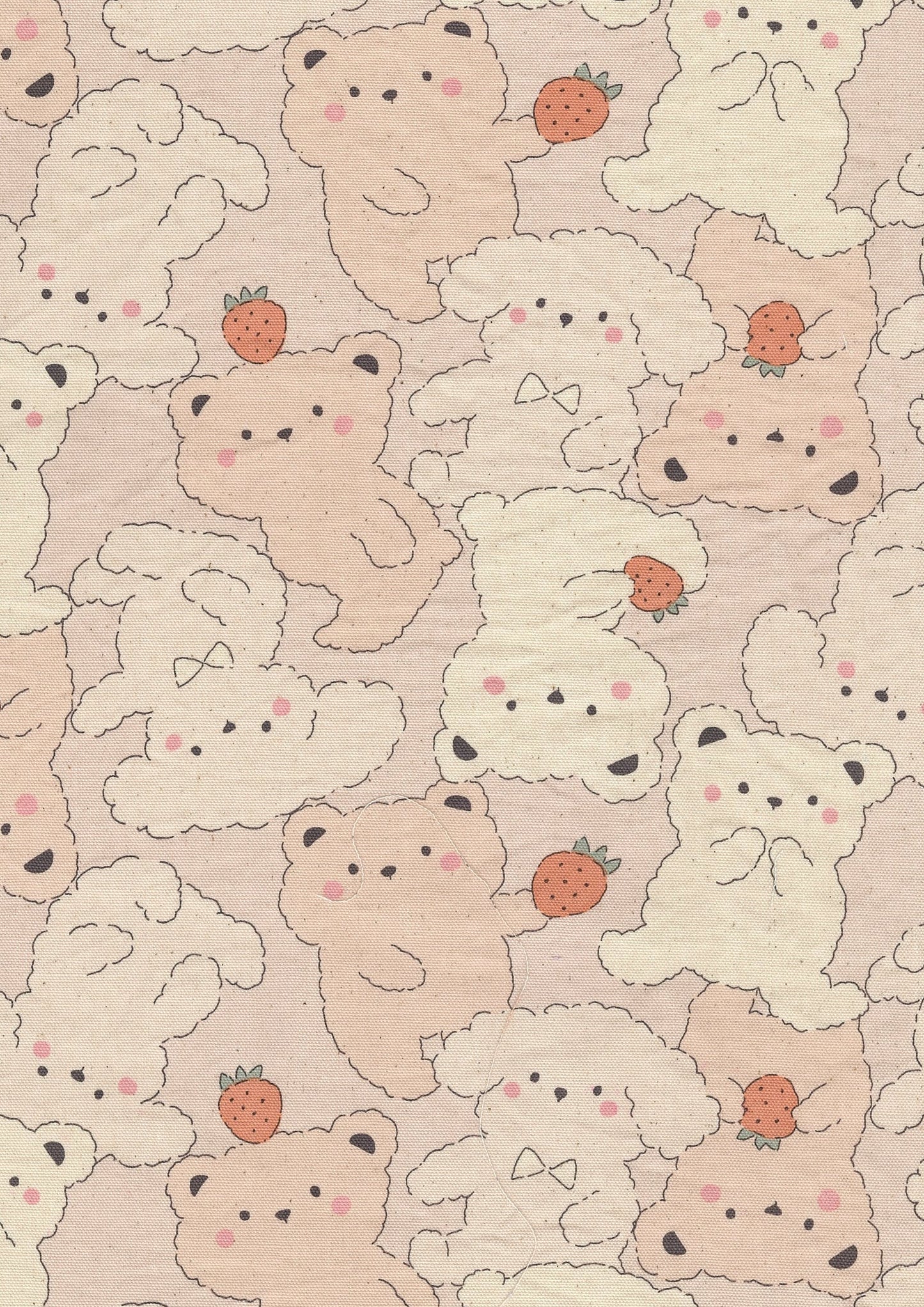 Pastel Bonbon Bears Cotton oxford YKA-39030-1