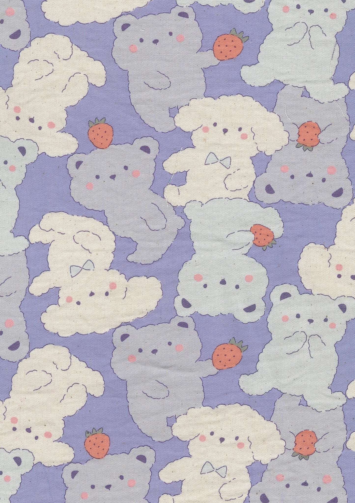 Pastel Bonbon Bears Cotton oxford YKA-39030-1