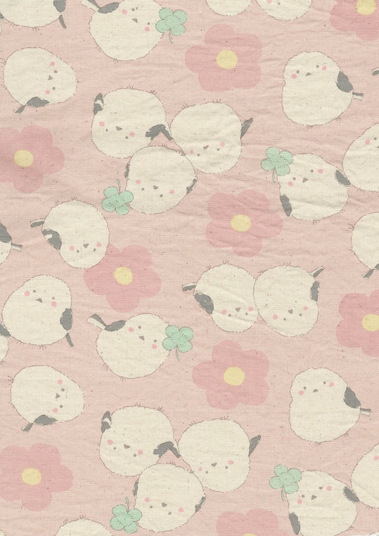 Pastel Bonbon Shimaenaga Cotton oxford YKA-39030-2