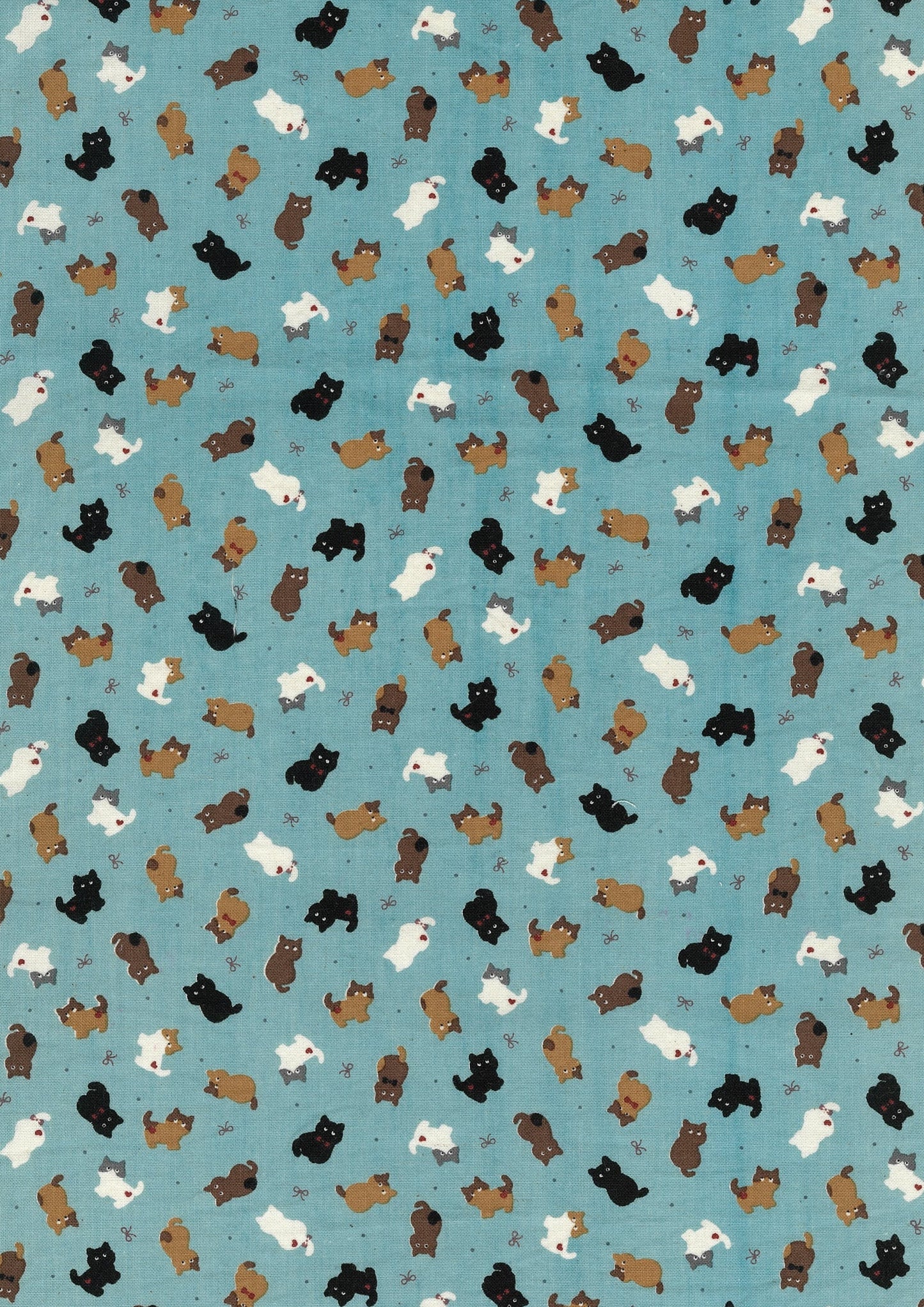 Chibi-pri Cats Cotton Sheeting YKA-39050-1