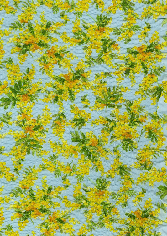 Mimosa Prints Ripple Seersucker YKA-39080-1