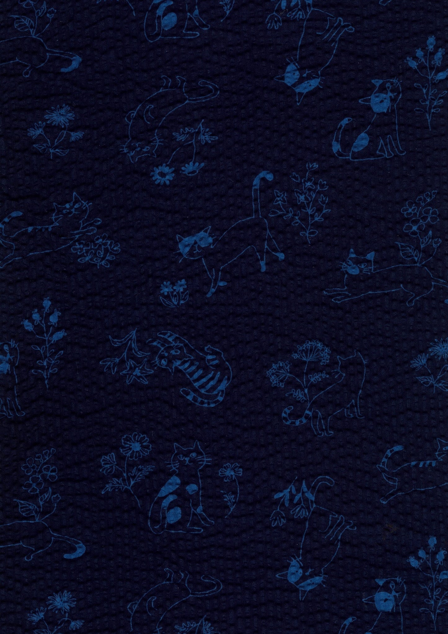 Cat Prints Ripple Seersucker YKA-39080-2