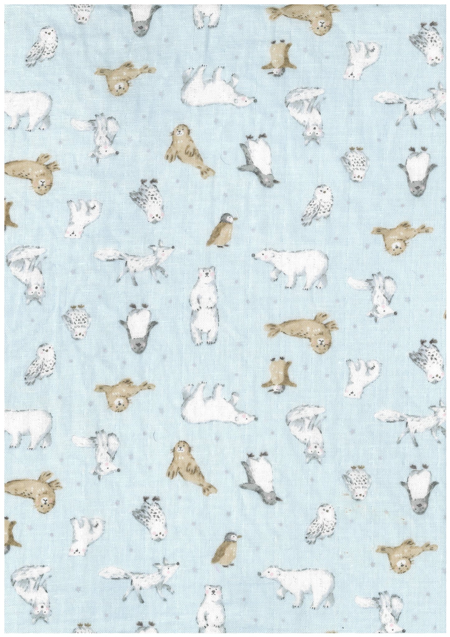 Animal World Cotton Double Gauze YKA-41000-1