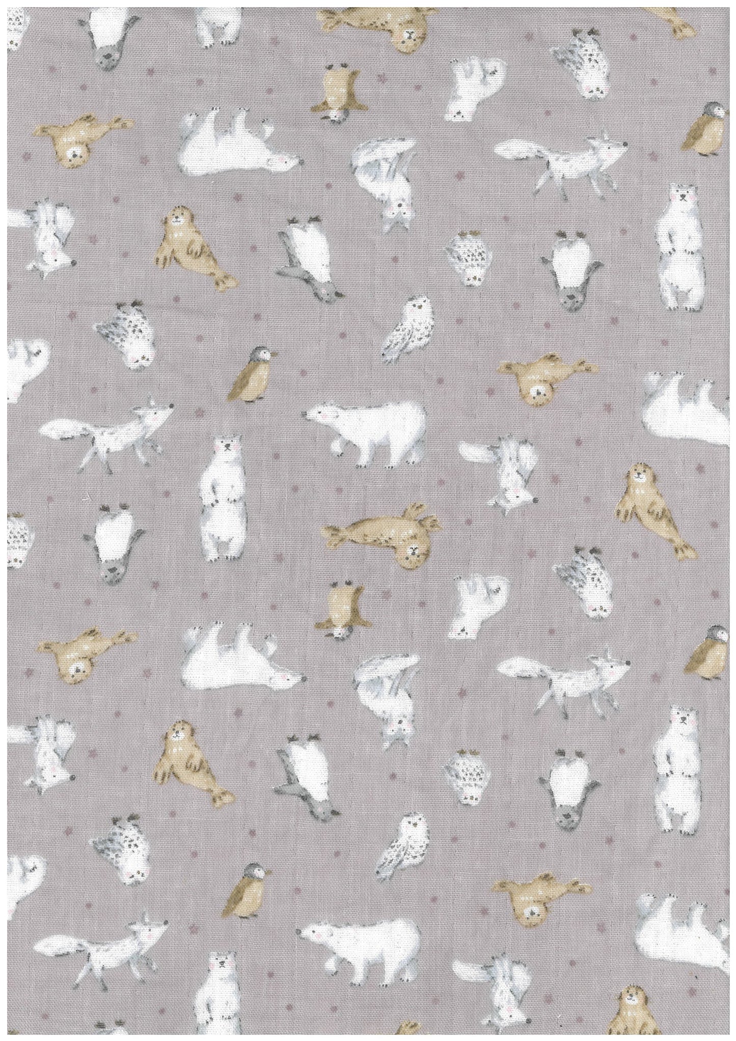 Animal World Cotton Double Gauze YKA-41000-1