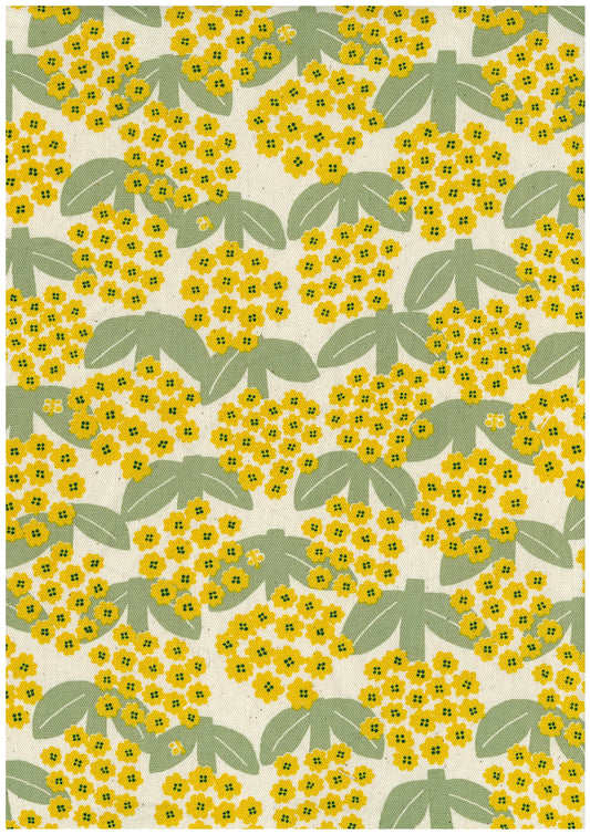 Linnea Cotton Oxford YKA-41050-1