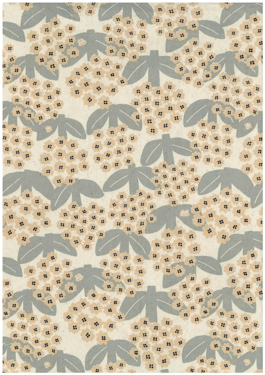 Linnea Cotton Oxford YKA-41050-1