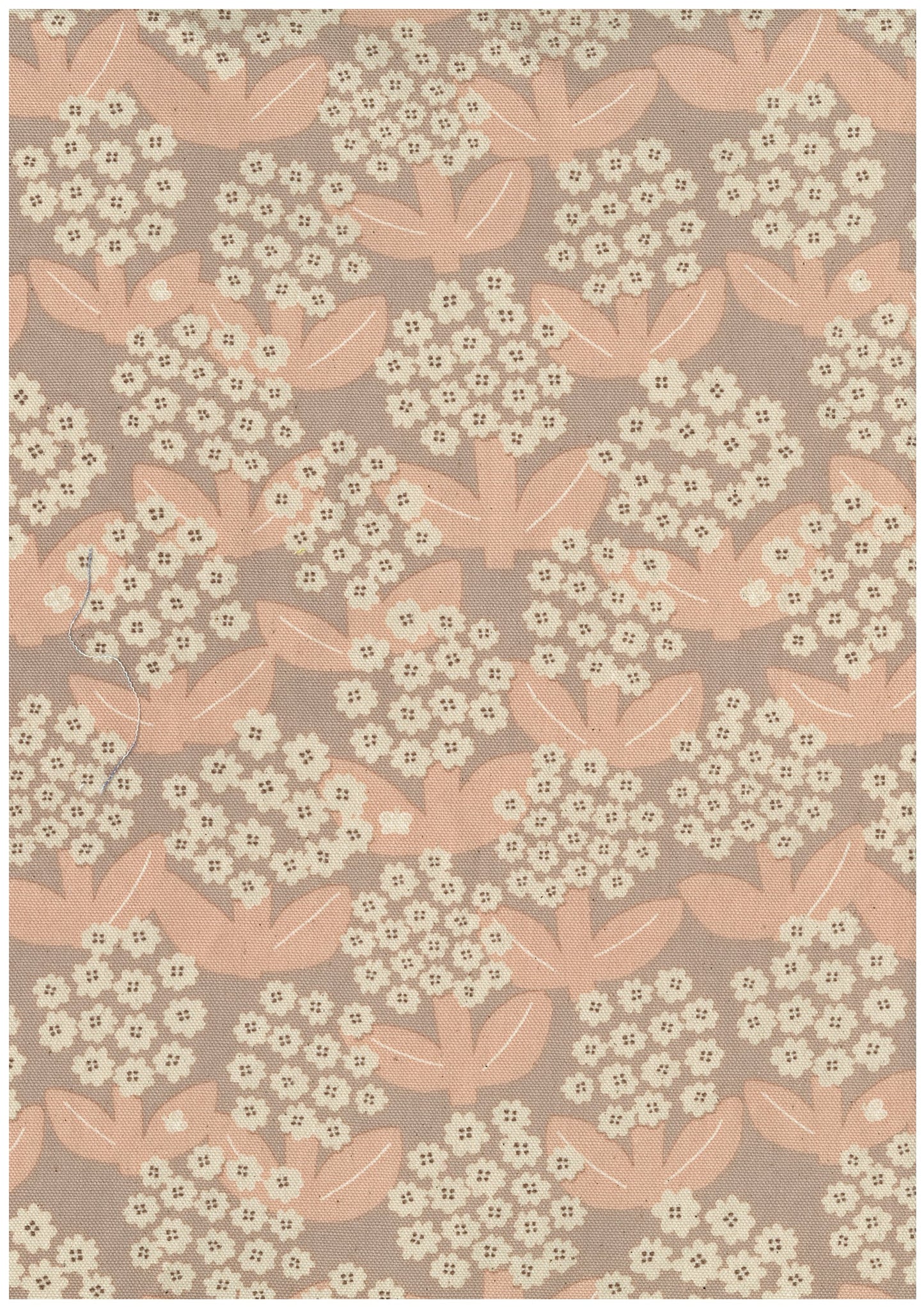 Linnea Cotton Oxford YKA-41050-1