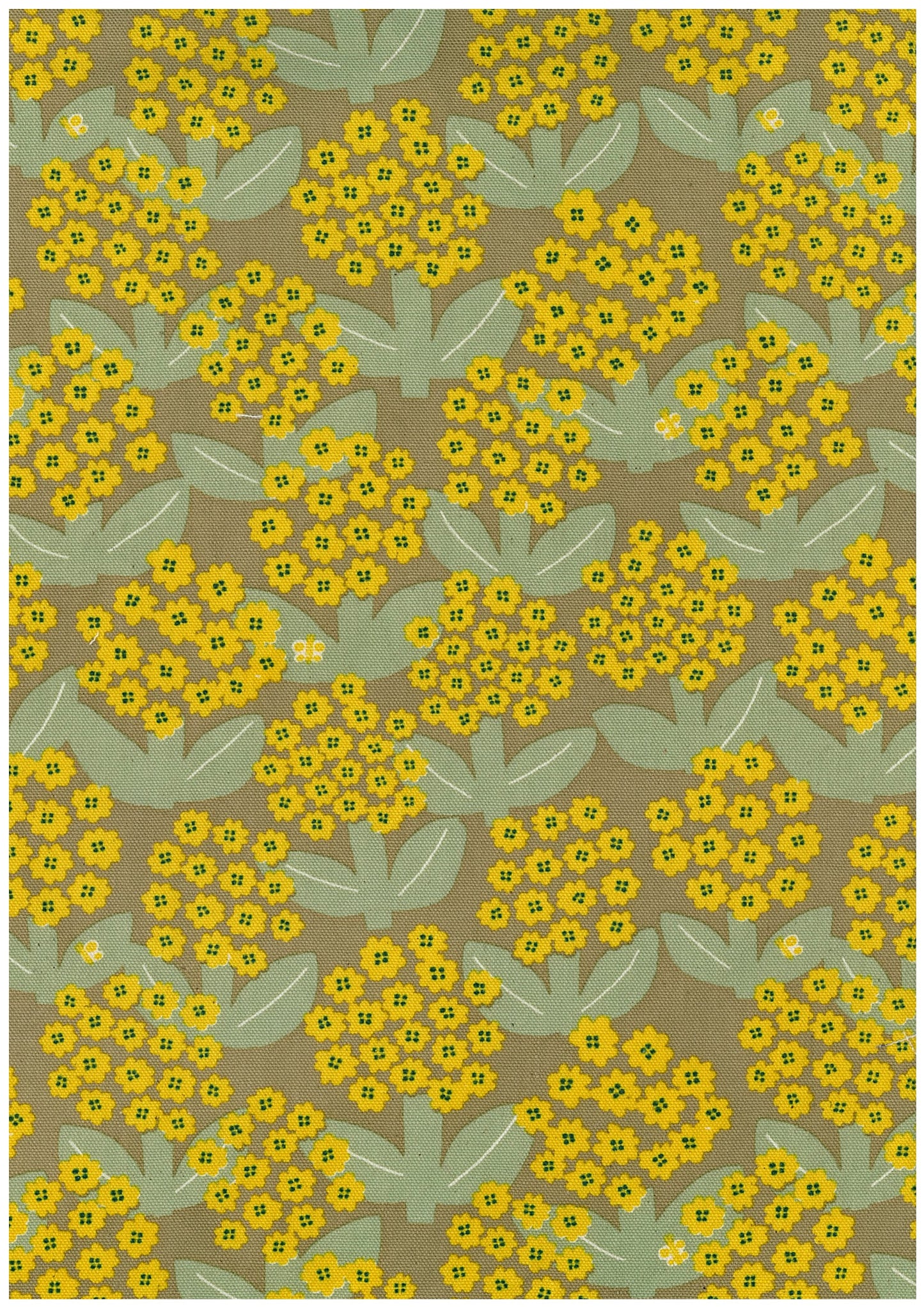 Linnea Cotton Oxford YKA-41050-1