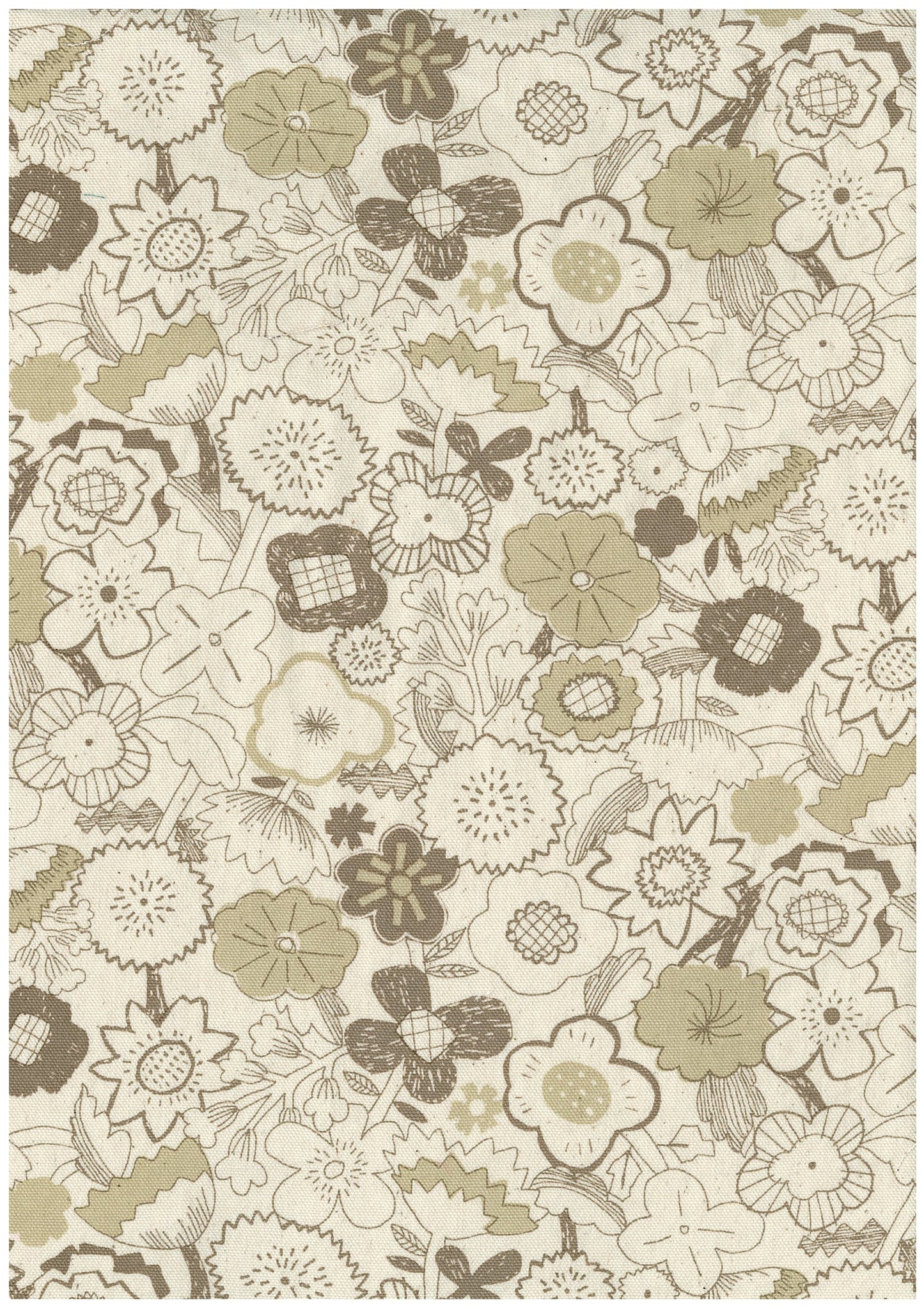 Linnea Cotton Oxford YKA-41050-2