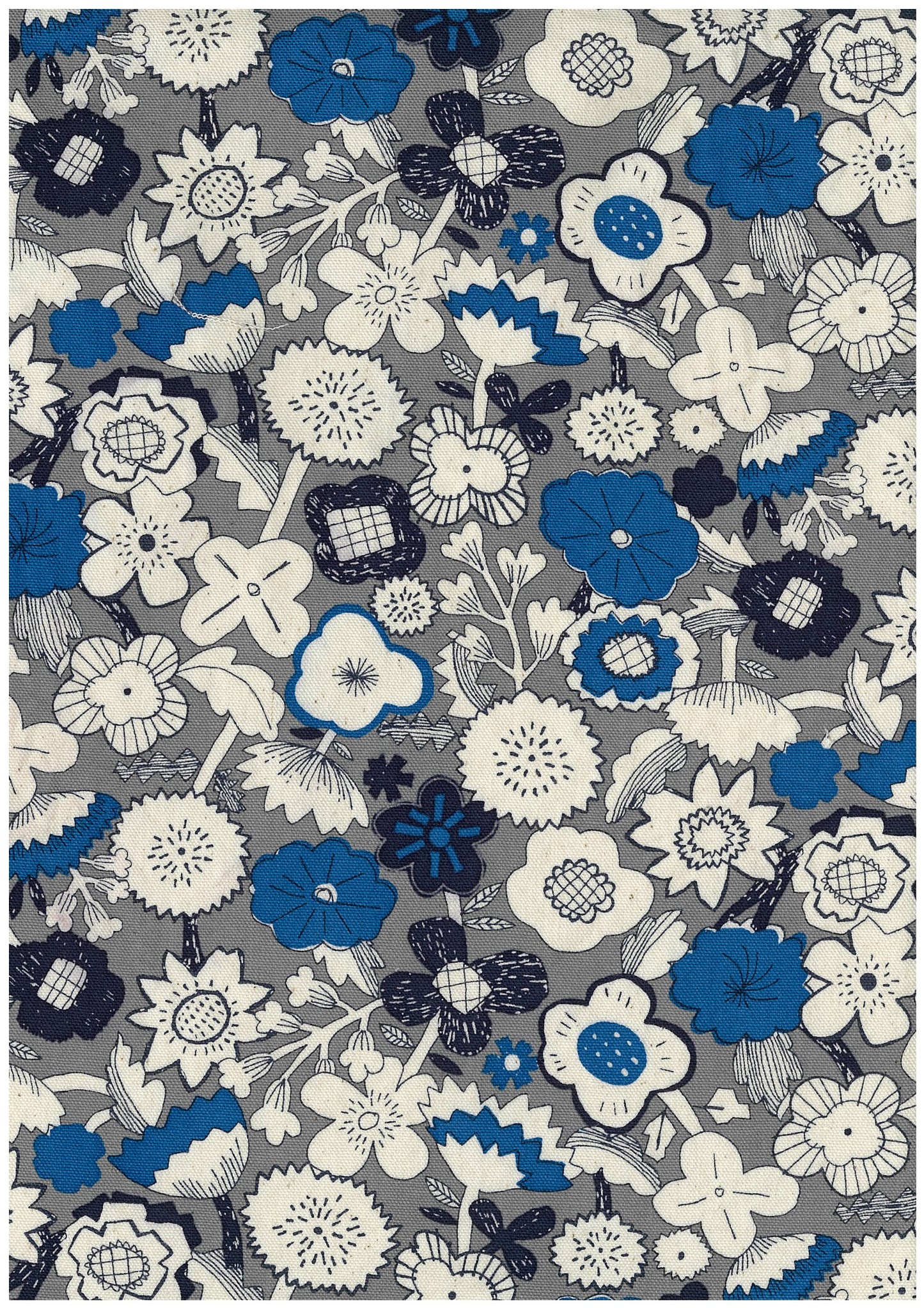 Linnea Cotton Oxford YKA-41050-2