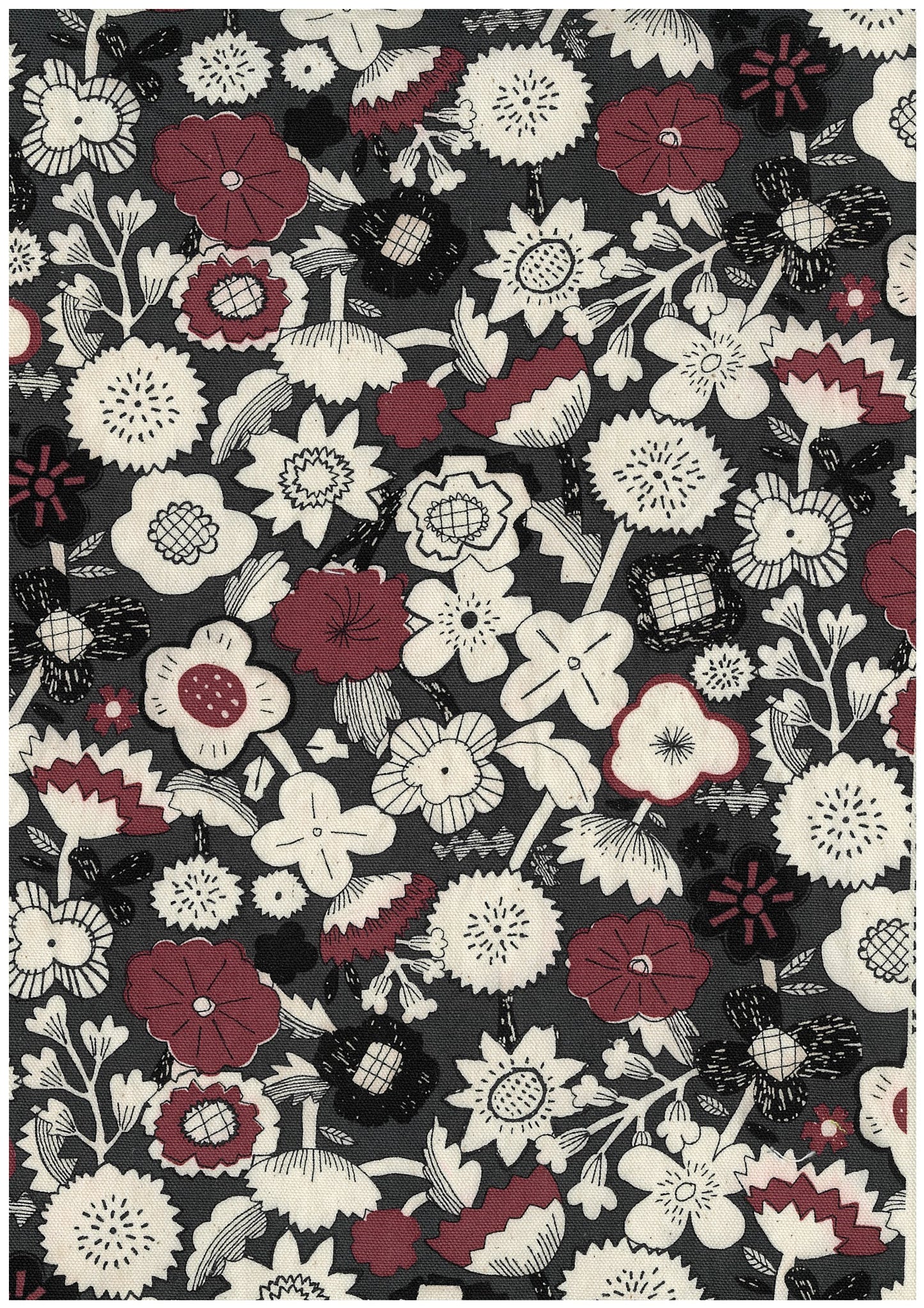 Linnea Cotton Oxford YKA-41050-2