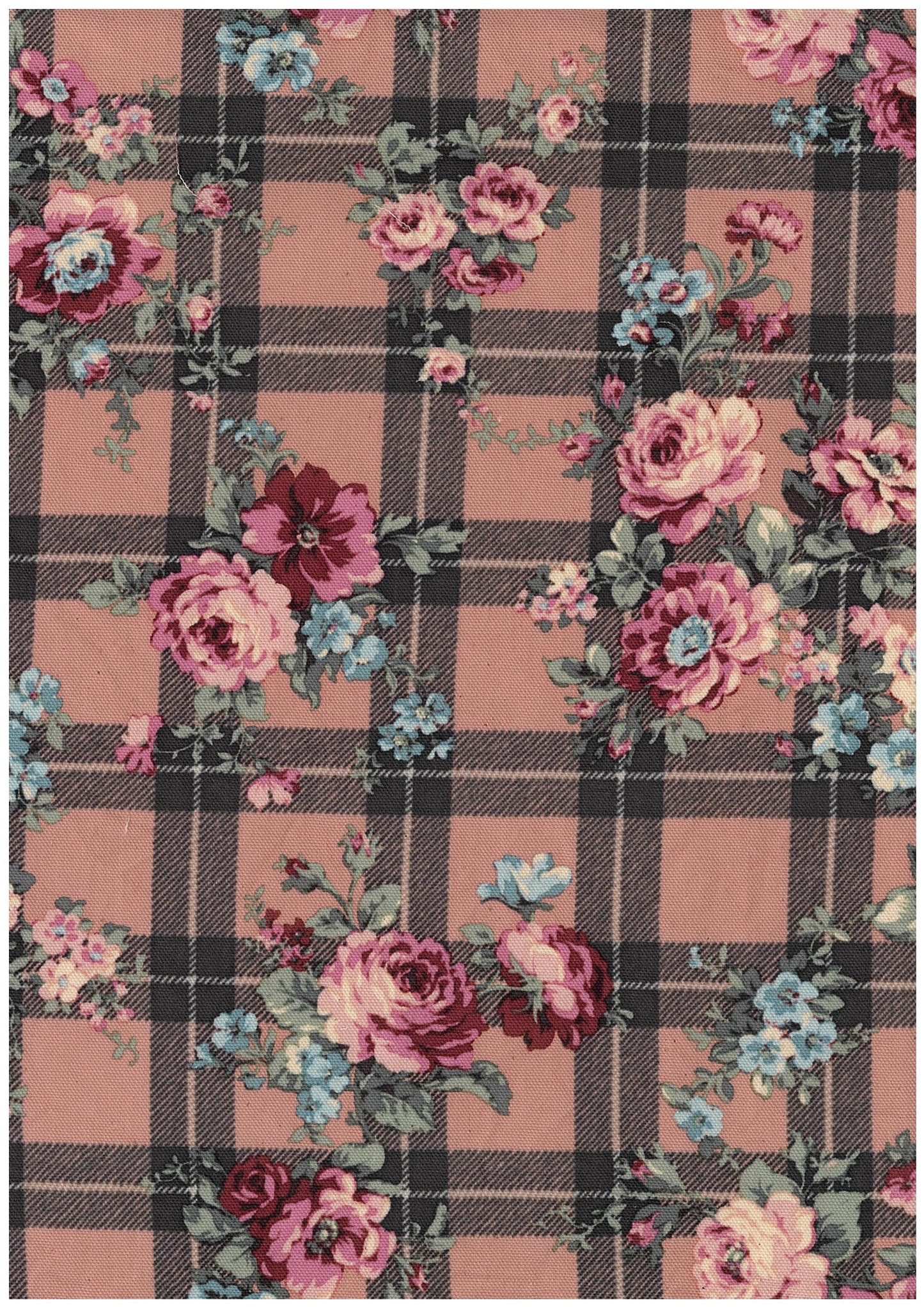 Classical Rose Check Oxford YKA-46010-2