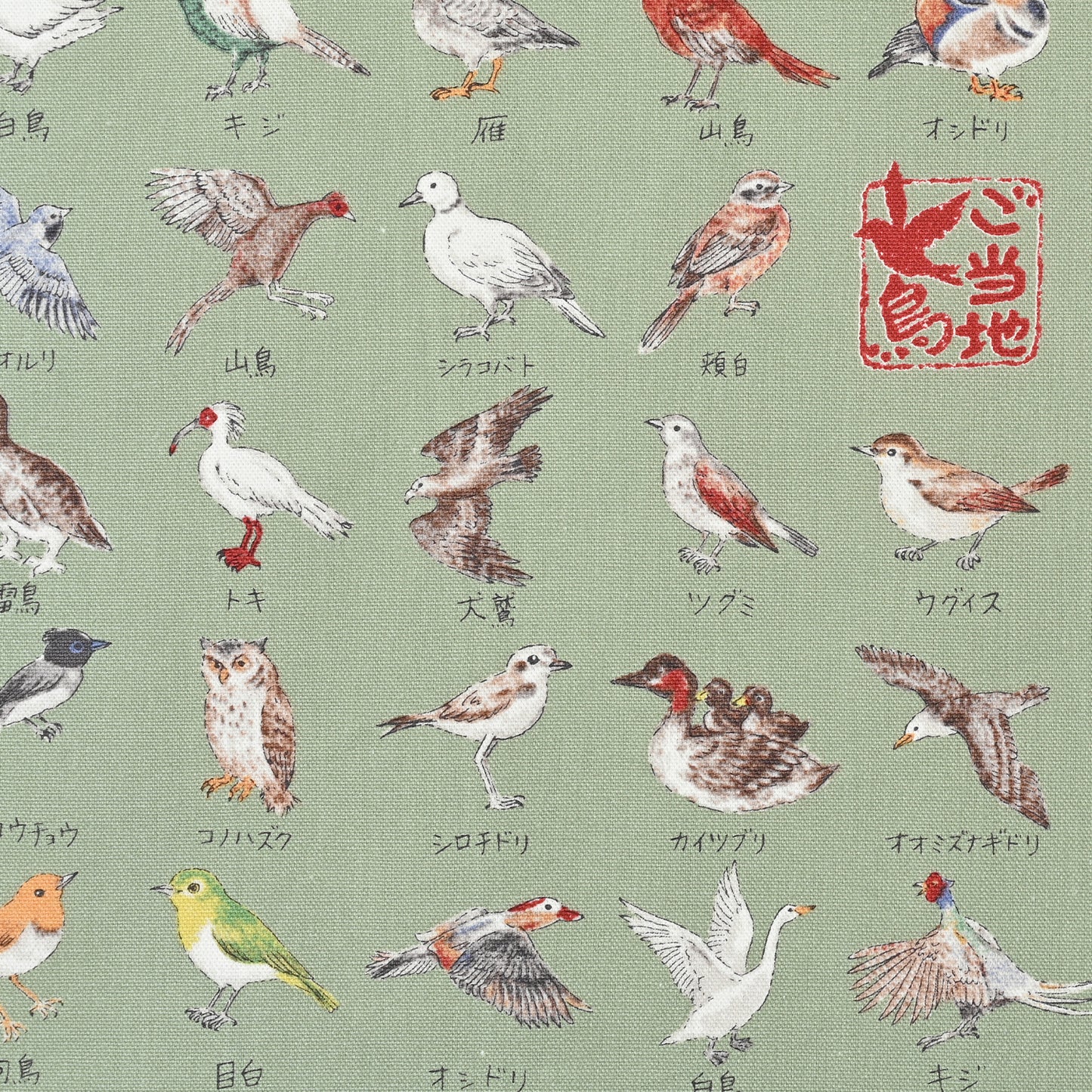Japanese National Bird Series Oxford YPA-51000-2