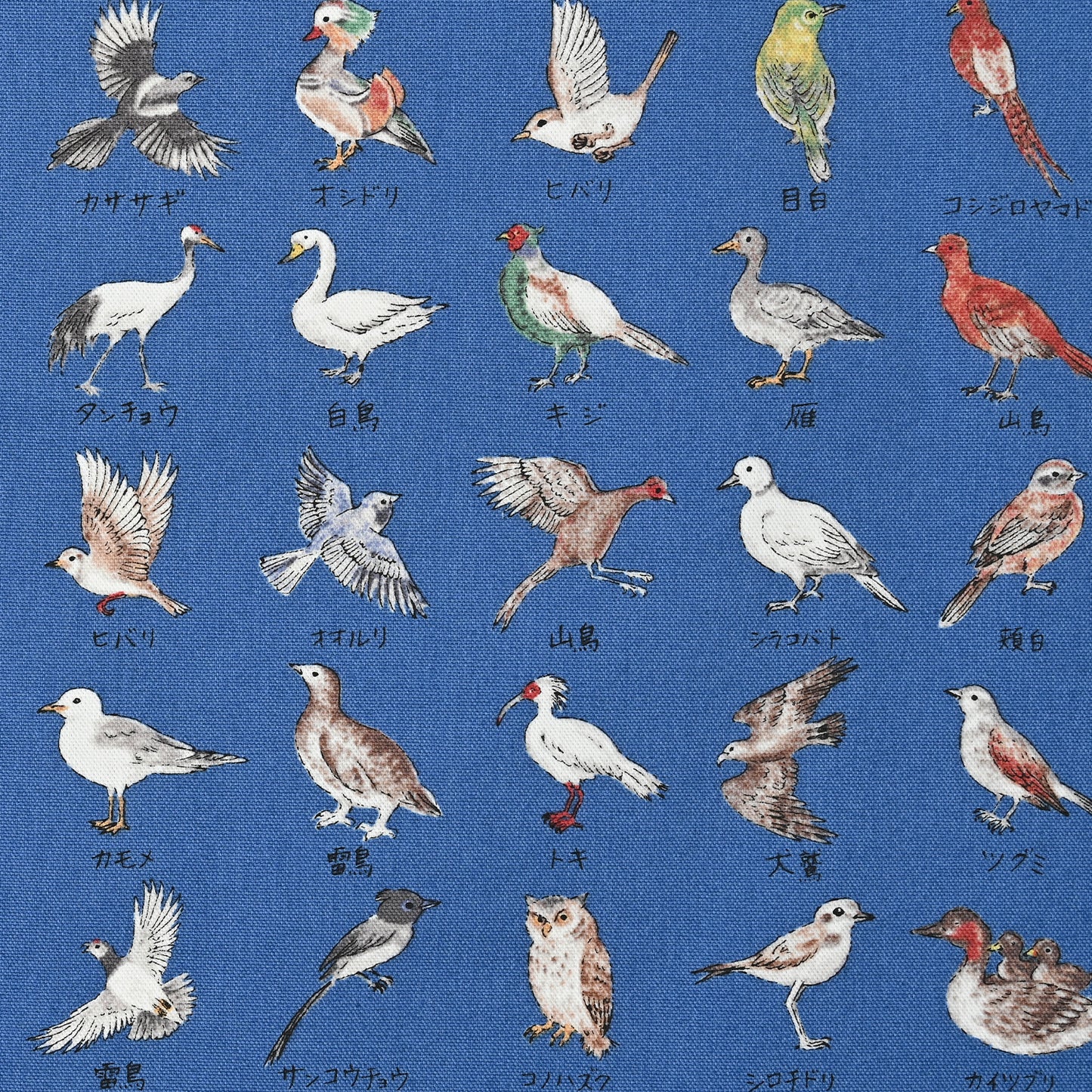 Japanese National Bird Series Oxford YPA-51000-2