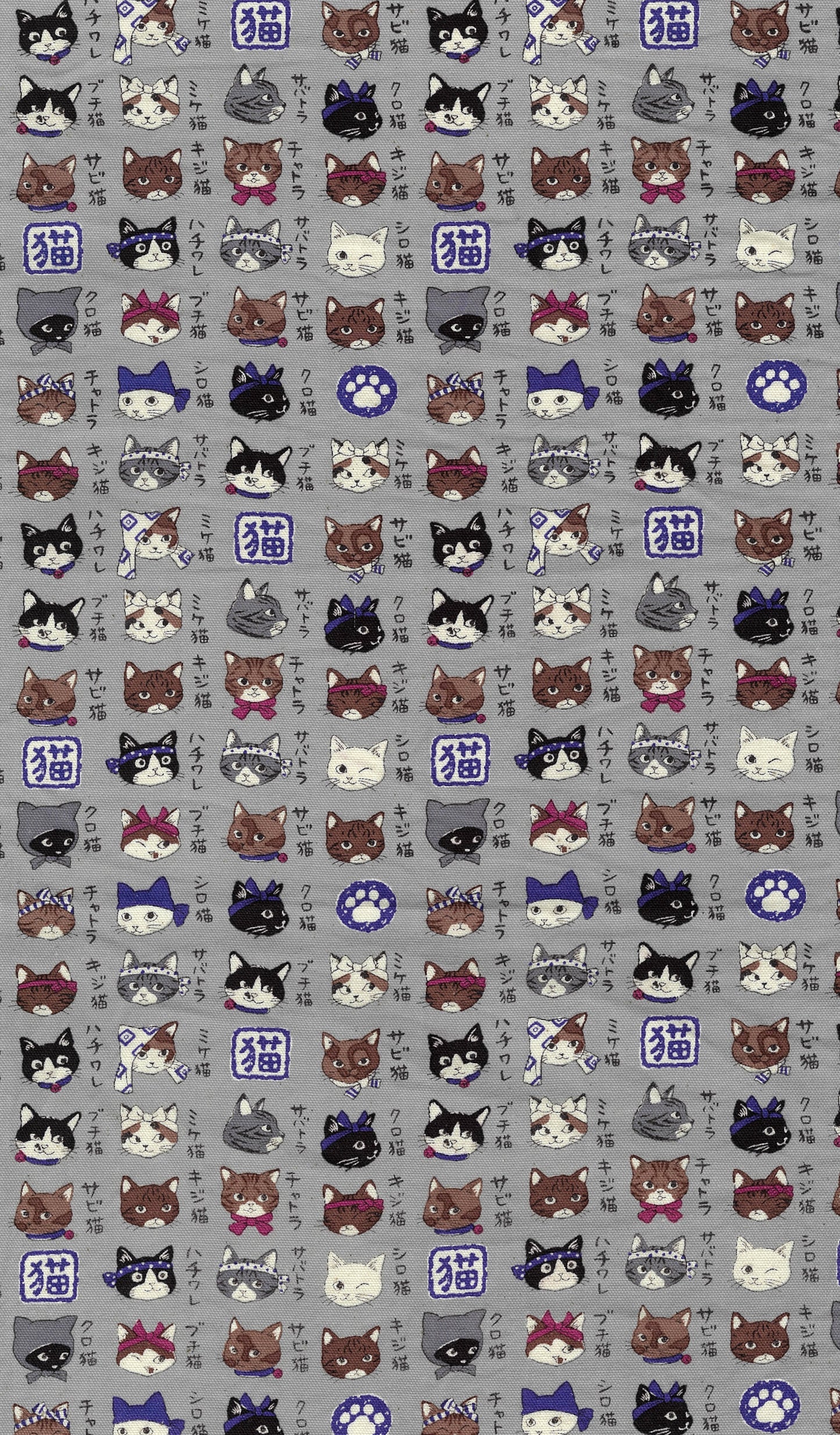 Japanese Cats Oxford YPA-56030-2