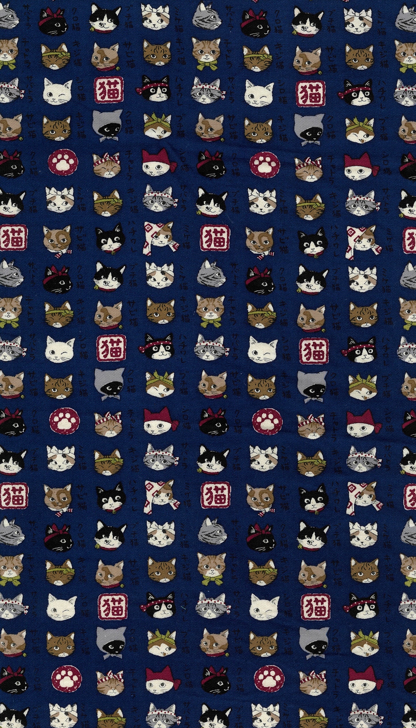 Japanese Cats Oxford YPA-56030-2
