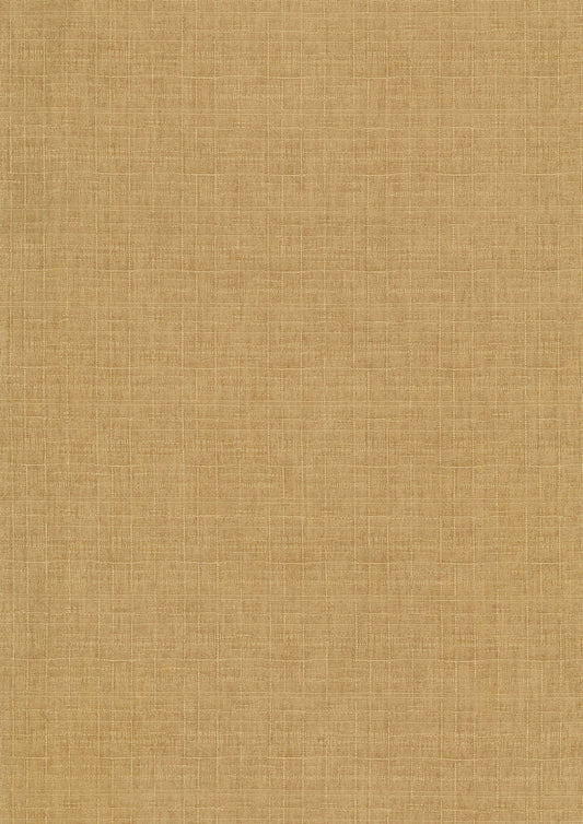 Solid Color Dobby  Cloth YPA-69050-1