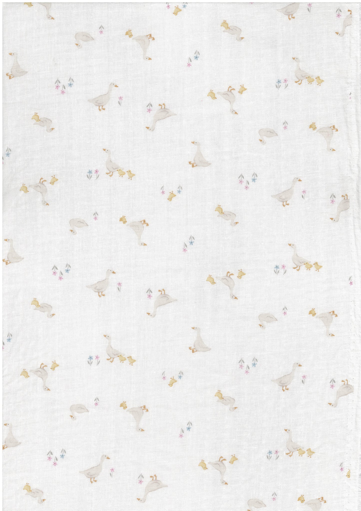 Royal Baby Ducks Double Gauze YPA-76000-2