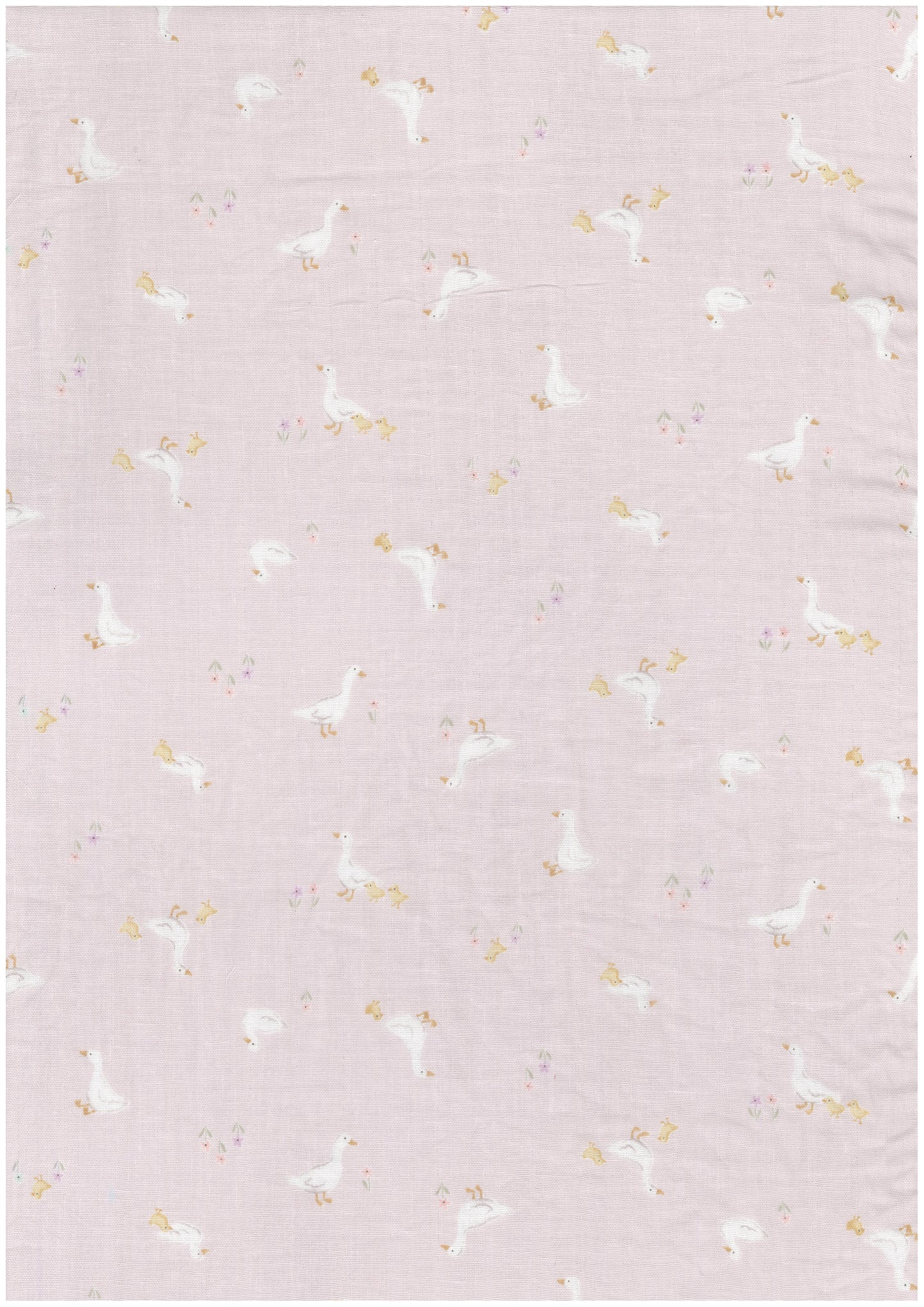 Royal Baby Ducks Double Gauze YPA-76000-2